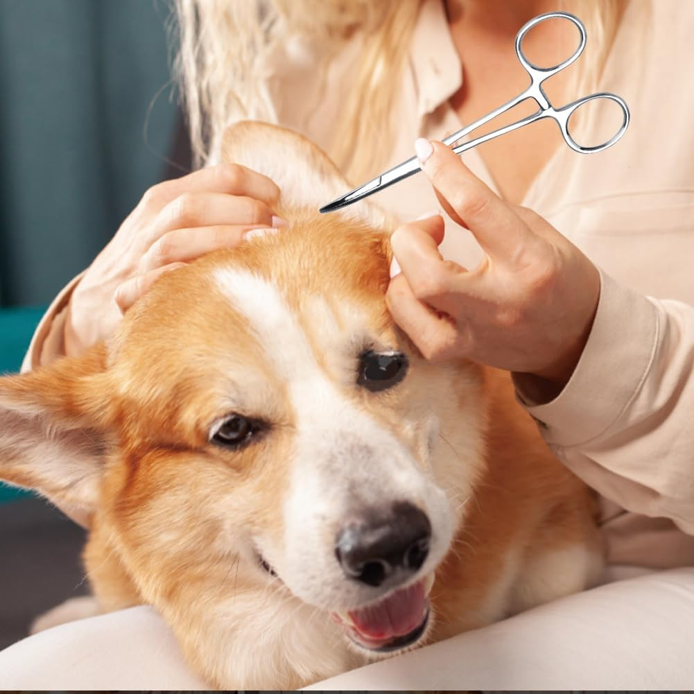 Hemostat Forceps, Curved Tip Cleaning Clamp Ear Hair Tweezers Pet Grooming Scissors Professional Stainless Steel Dog Trimmer Dogs Ears Puller Accessories Silver for Cats Nose Ear Hair(Large) image number 4