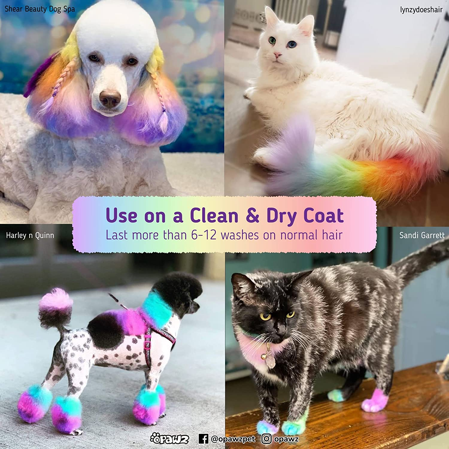 OPAWZ Semi-Permanent Dog Hair Dye, Food-Grade Pigment Dog Dye, Non-Toxic Pet Hair Dye for Dogs, Cats and All Pets Can Be Bathed (Flash Yellow) image number 5