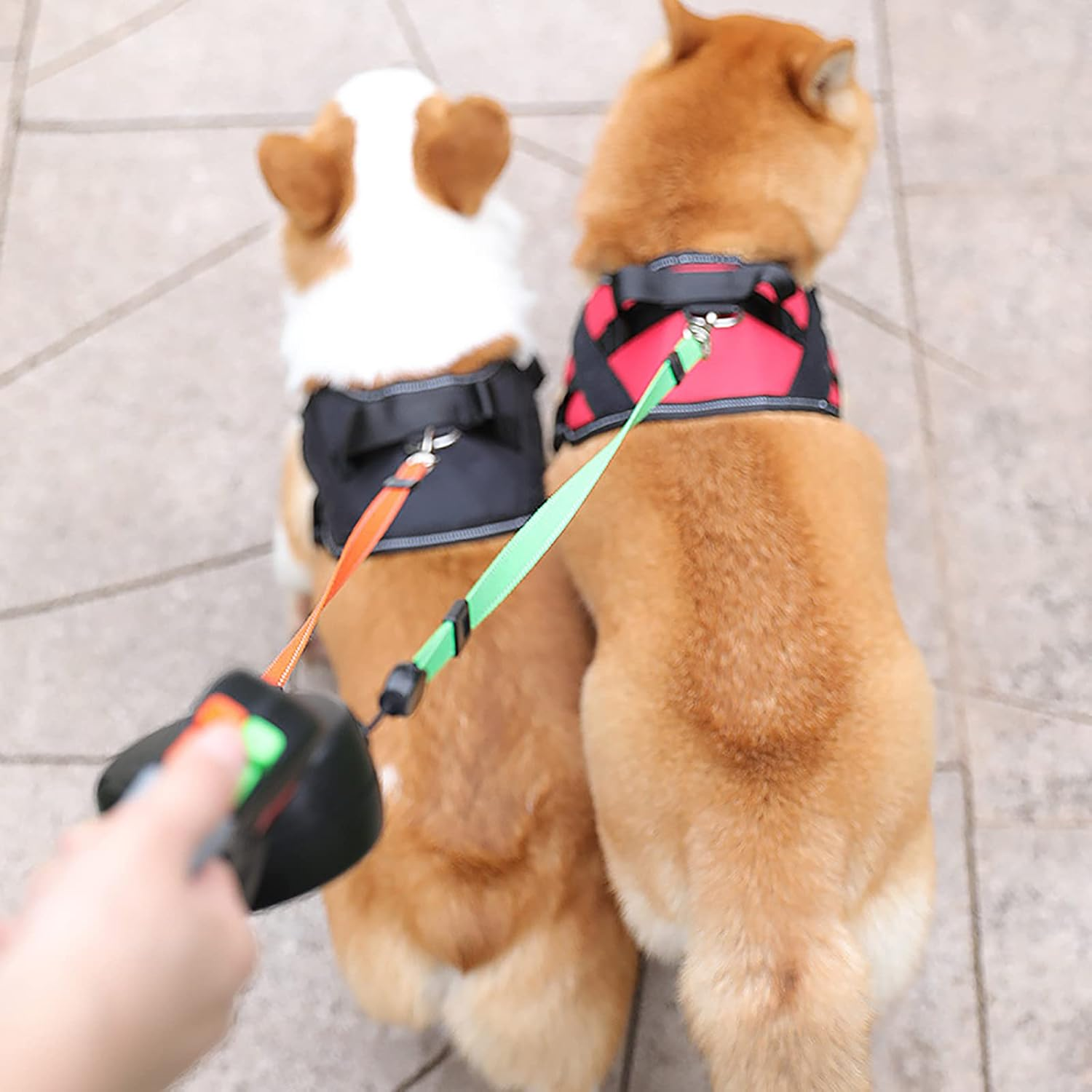 Double Dog Leash Lead 360&deg;No Tangle Heavy Duty Retractable Pet Leash Climbing Rope Material for Walking 2 Dogs image number 3