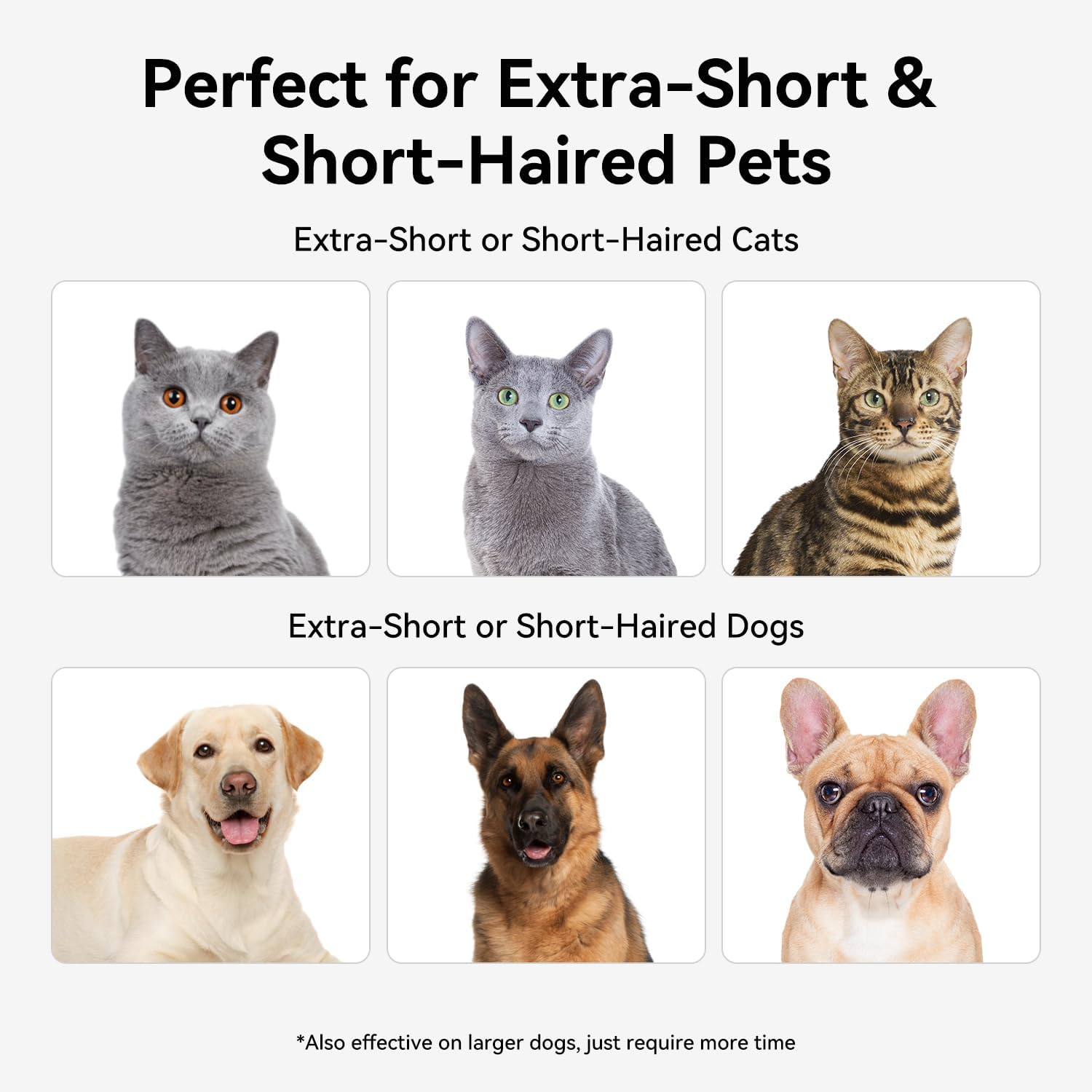 Aumuca Pet Deshedding Tools for Short Haired Dogs & Cats, Highly Deshedder Grooming Brush image number 6