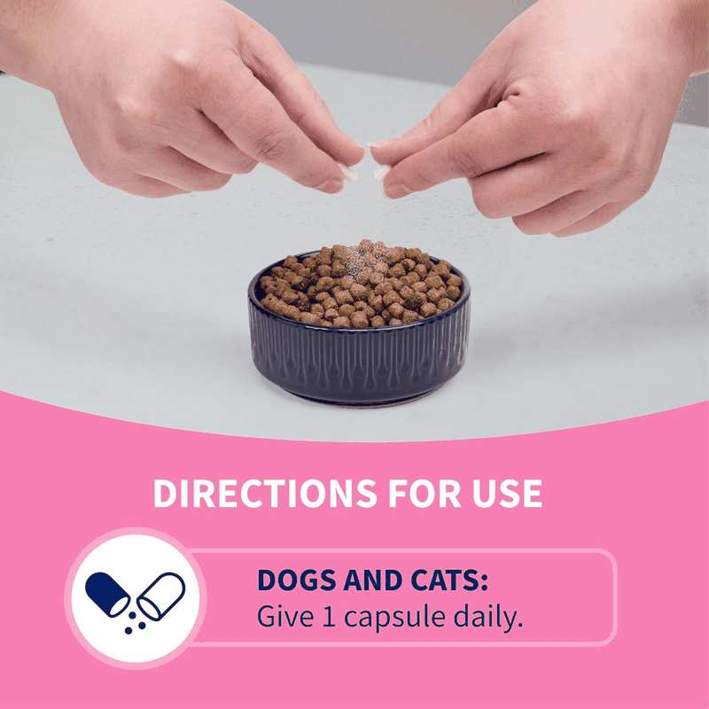Nutramax Proviable DC Capsules for Cats and Dogs, 30 Count image number 4