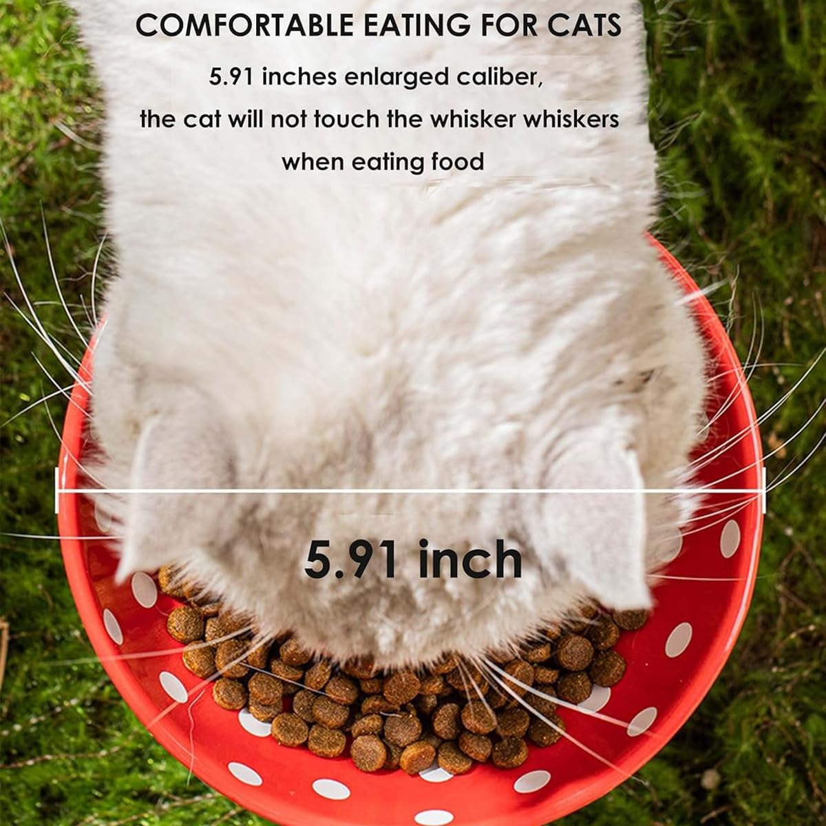 AIMALL Elevated Pet Bowl, Non-Slip Cat Feeding Bowl with Polka Dot Design, Food Grade, Suitable for Small, Adult and Senior Cats, 5.91 X 5.51 Inches - Black image number 6