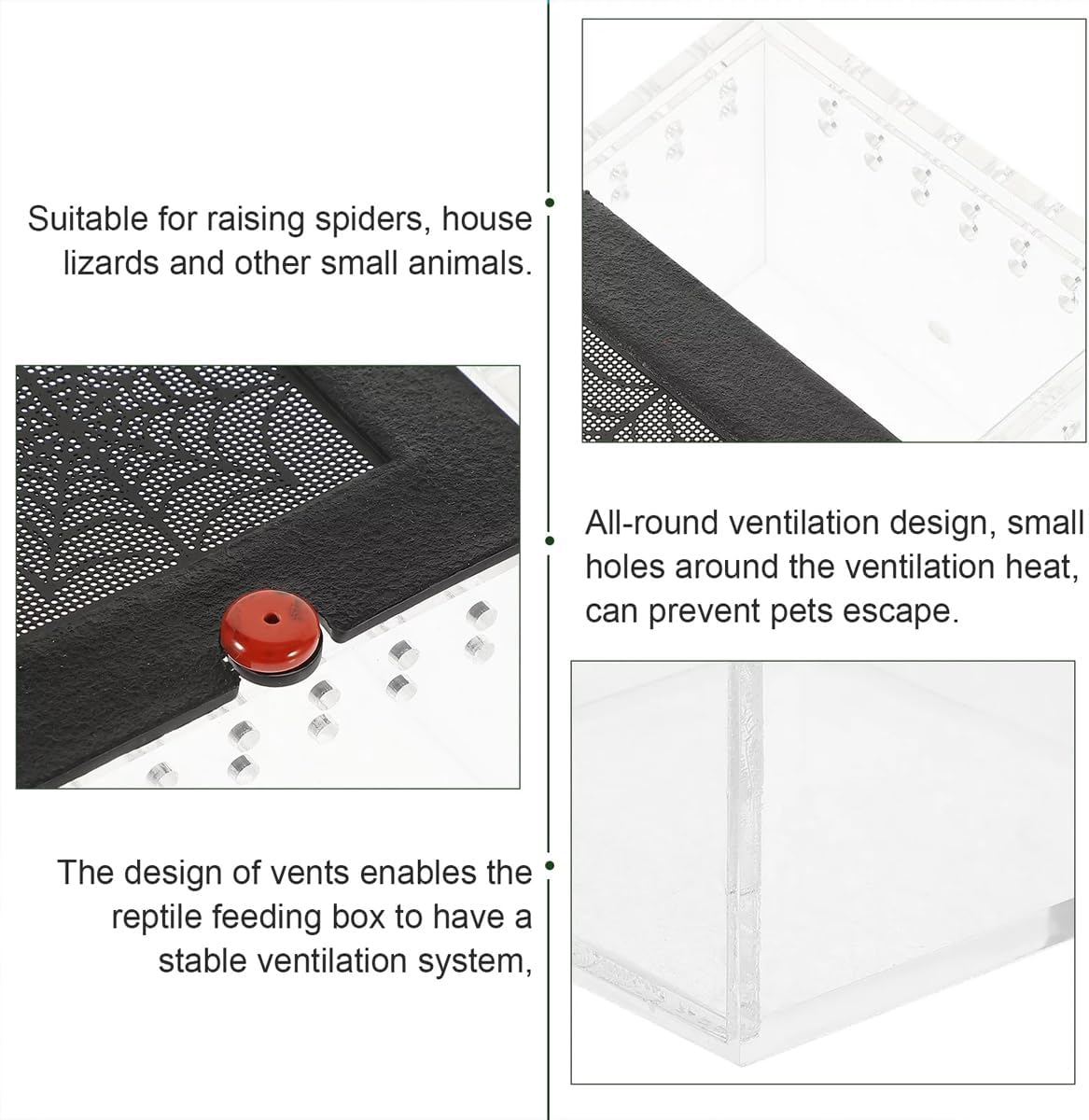 AIMALL Acrylic Reptile Climbing Pet Enclosure, Transparent Spider and Lizard Breeding Terrarium, Lightweight and Durable Design - Black image number 4