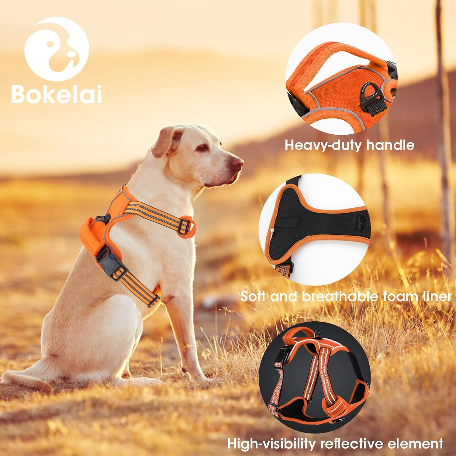 No Pull Dog Harness for Small Medium Large Dogs Adjustable Reflective Pet Vest with Front Clip Padded Harness for Dogs Easy Control Handle Best for Outdoor Training and Walking Orange S image number 6