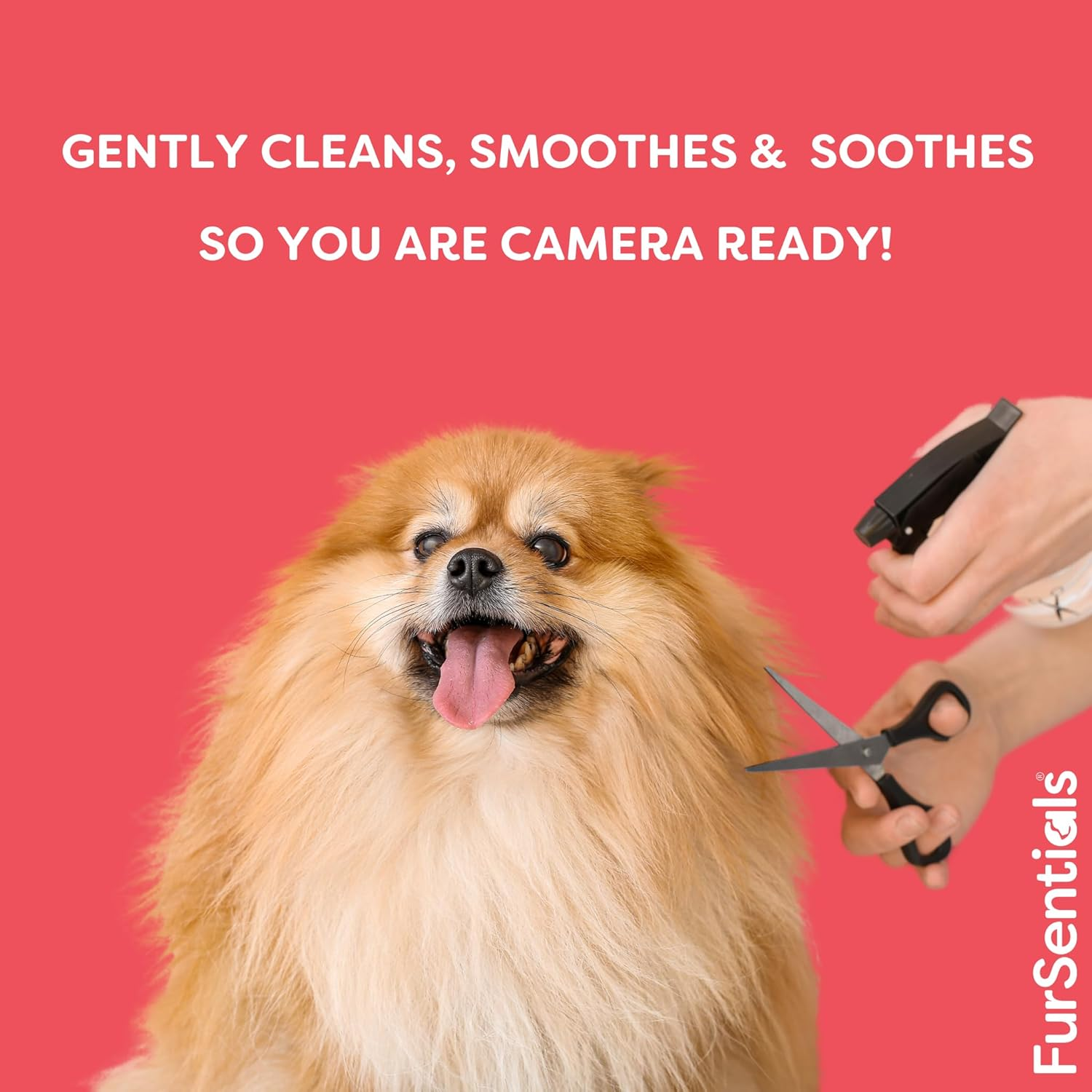 Tear Stain Remover for Dogs | Grime Stain Remover for Dogs | Made with Australian Oils | 125 Ml of Gentle, Freshly Scented All Natural Cleaner | by Fursentials image number 4