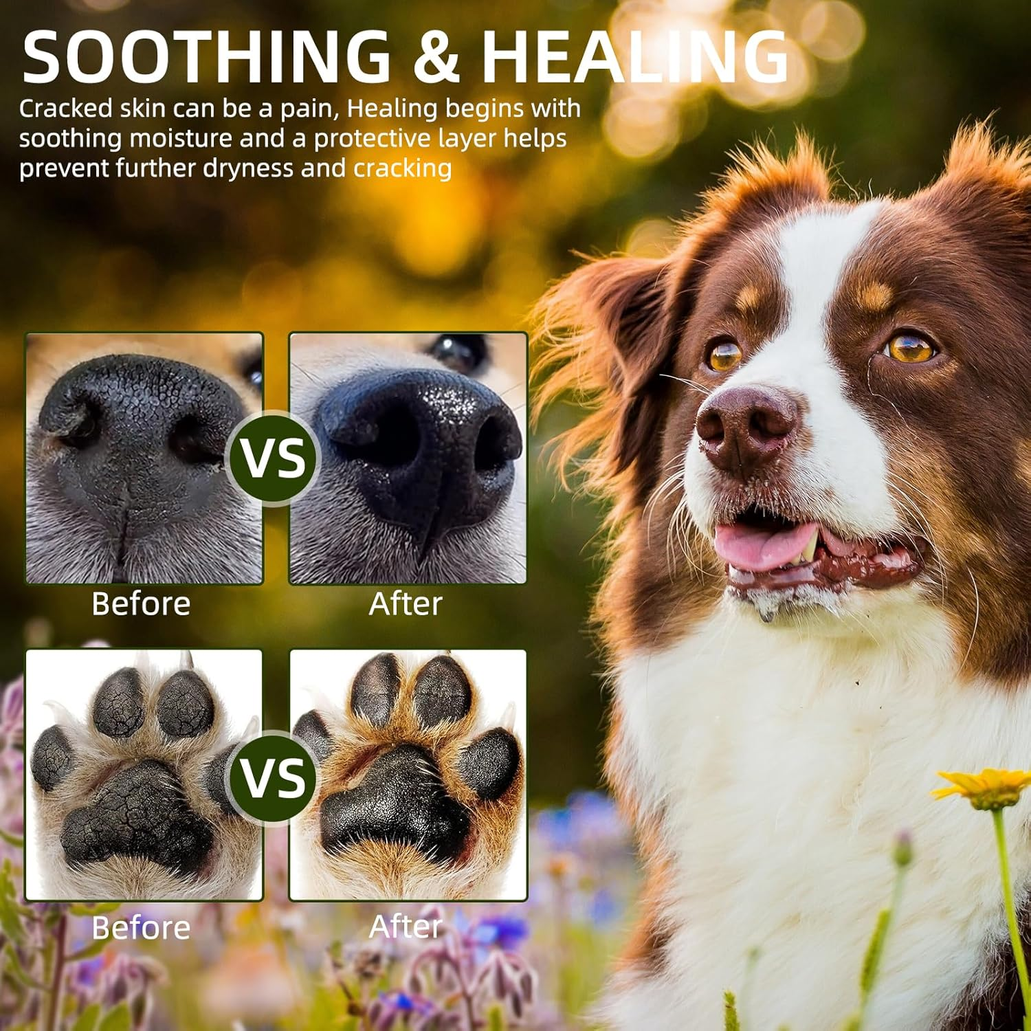 Avocado Dog Nose & Paws Balm for Dry Nose,Dog Cream for Paws and Nose,Natural & Organic Plant Based,Protects & Repairs Dry, Cracked Snouts & Paws,Hypoallergenic,0.7Oz image number 2