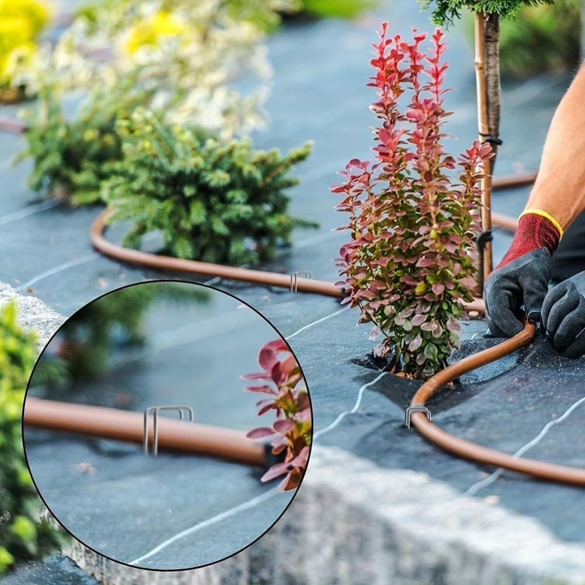 AIMALL 100-Pack U-Shaped Garden Staples &ndash; 3.93In X 1.57In Heavy Duty Steel Ground Pegs with 45&deg; Sharp Tip for Landscaping, Weed Barrier, and Gardening image number 5