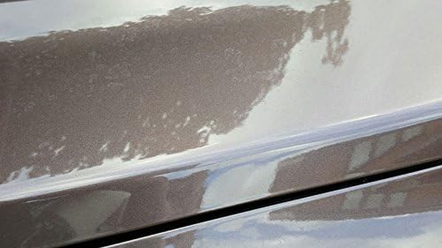 Nushine Bird Dropping and Insect Strike Remover Spray 250Ml (Ecofriendly Formula)