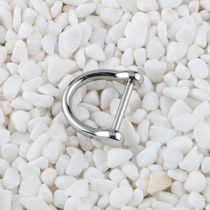 2 Pieces Key Rings Car Key Fob Holder, Stainless Steel D-Shaped Key Chain Ring with Screw Shackle,Car Keychain for Men image number 3