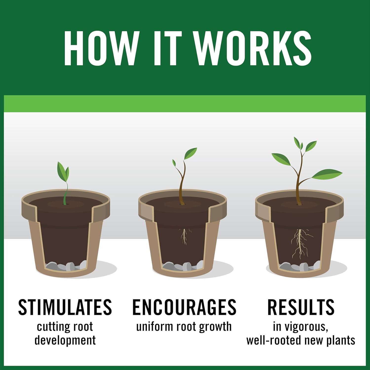 Rootboost Rooting Hormone 2 Ounces image number 4
