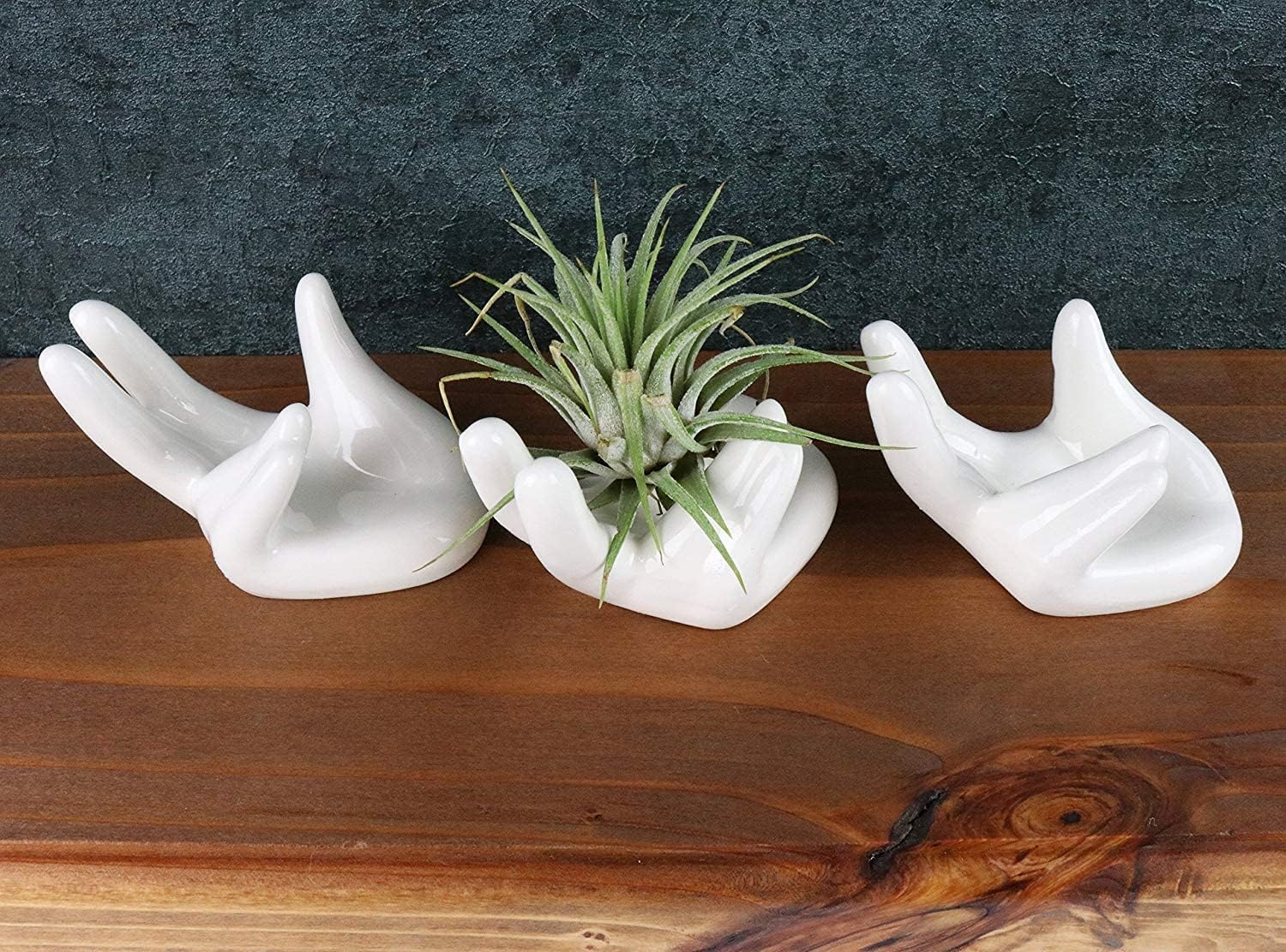 2 PCS Air Plant Holder Cute Ceramic Mini Hand Shape Stand Airplants Tillandsia Small Container Pot Plant Decorative Home Decor for Desk Table Shelf Window, White image number 5