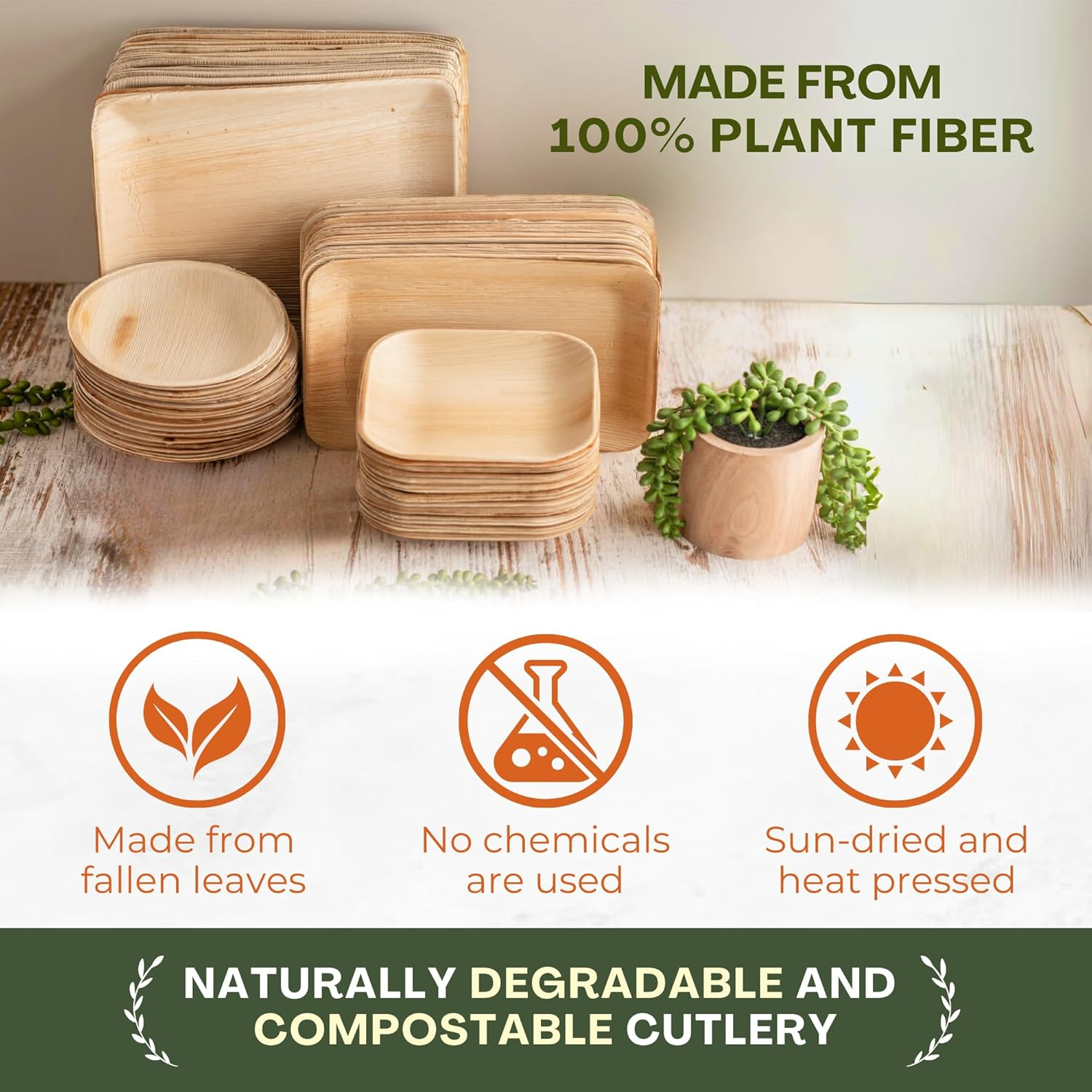 100 Pieces Biodegradable, Disposable Plates Party Paper Plates Set - Mother Nature'S Choice for Bamboo Party Plates | 100% Compostable 15 CM round Small Plate image number 1