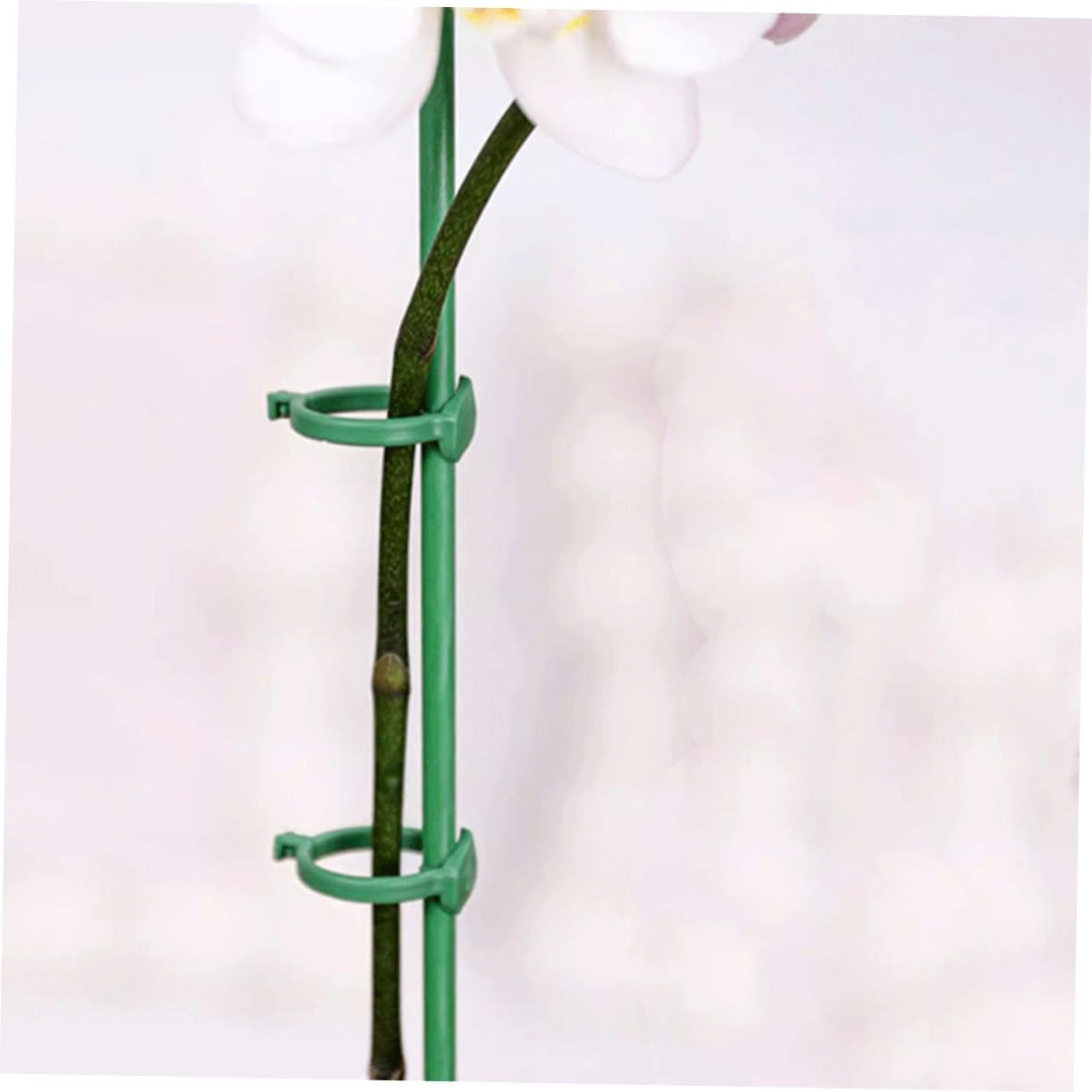 Yardenfun 12Sets Plant Support Stakes Single Stem Support for Flowers and Tomatoes Garden Supplies Garden Stake image number 3