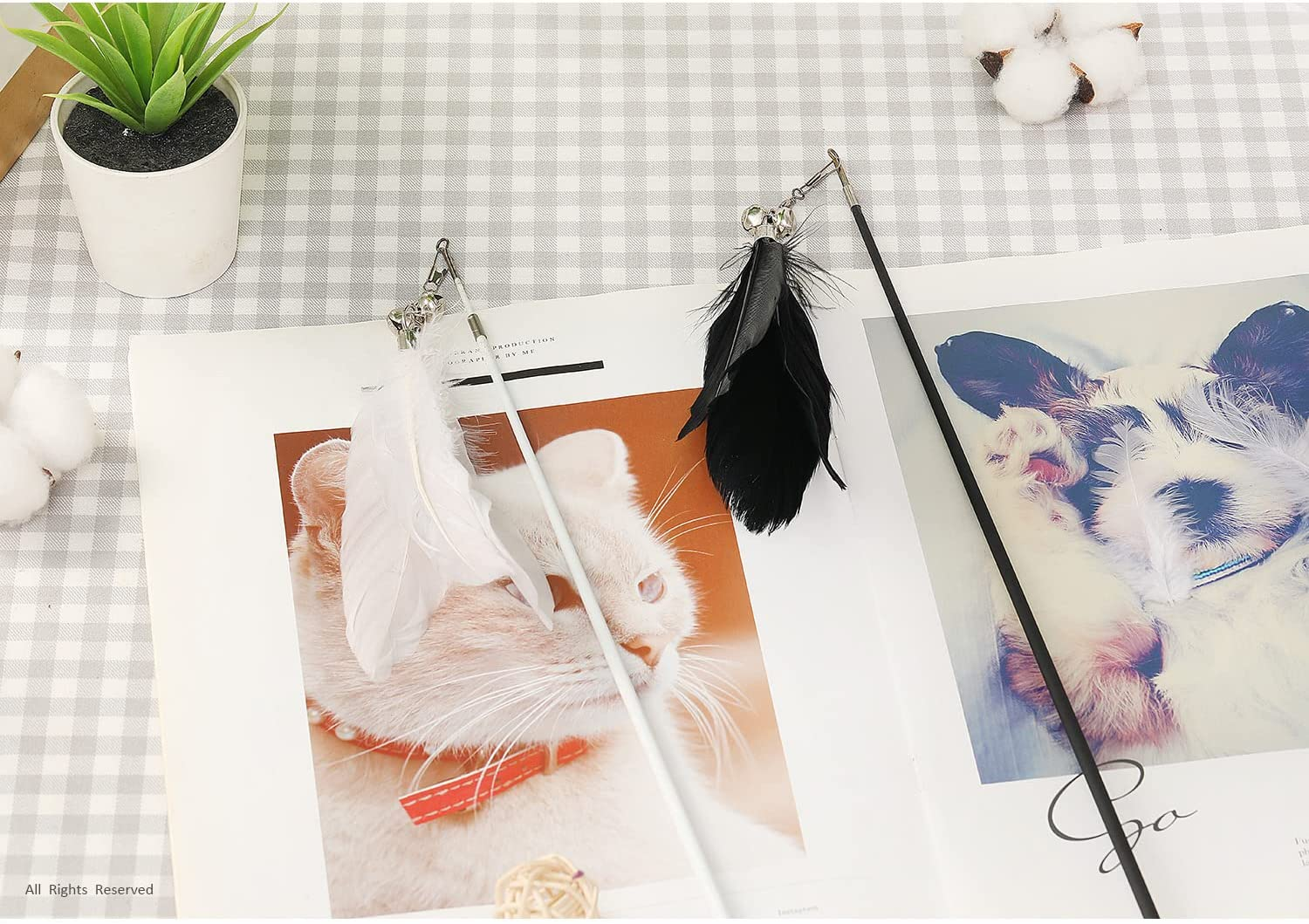 Cat Teaser Toy with Wooden Handle - Retractable Cat Teaser Wand with Natural Feather - Cat Interactive Toy for Indoor Cats - White image number 1