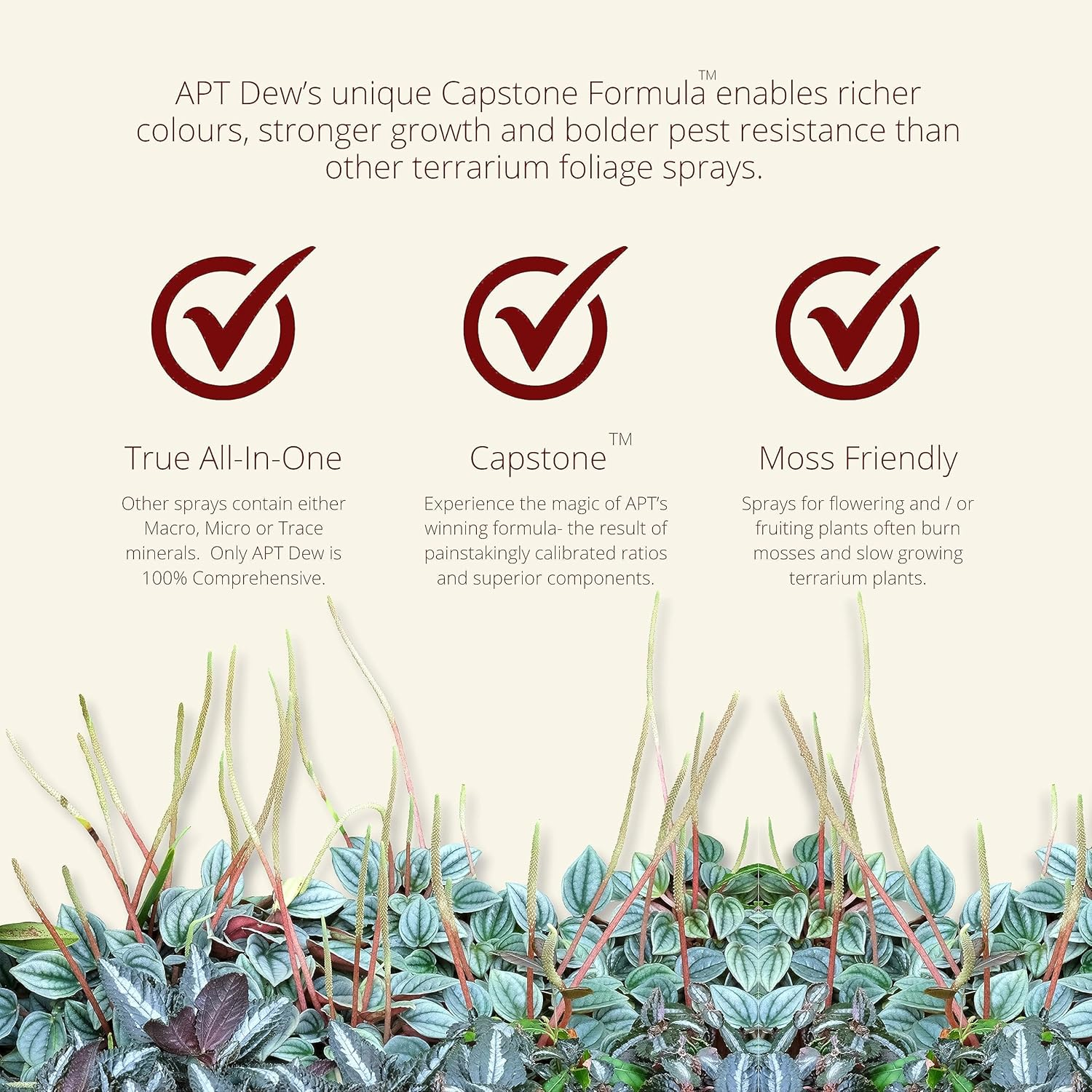 2Hr Aquarist APT Dew Foliar Spray for Paludariums and Planted Terrariums (300Ml) image number 3