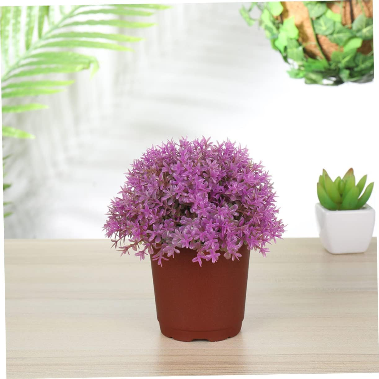 Toddmomy 20Pcs Pot Succulent Pot Planter round Tray Black Decor Garden Pots Drainage Flowerpot Flower Pot Plant Pots Indoor Pot for Plants Indoor Gardening Pots Plastic Nursery Set image number 6