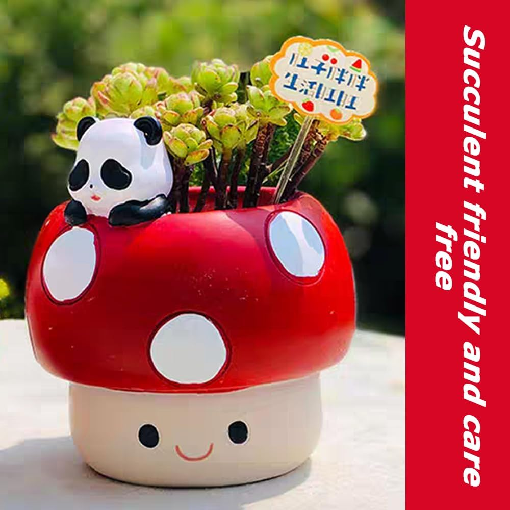 Desktop Succulent Planter with Durable Material, Panda Mushroom Resin Planter, Cute Cartoon Flower Pot, Suitable for Succulents, Miniature Gardening, Home & Office Decor image number 4