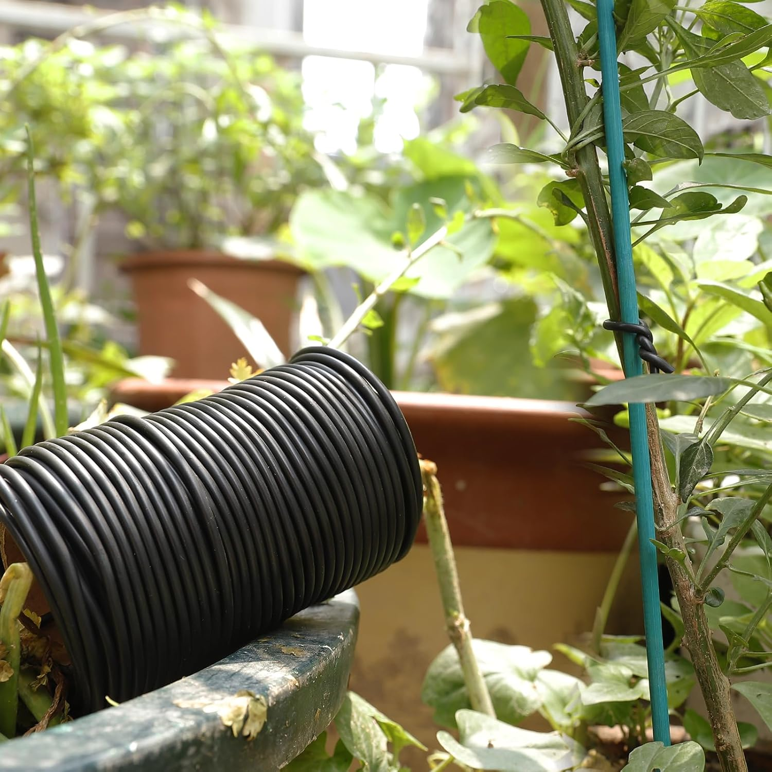 101 Feet Black Plant Twist Ties, Soft Plant Ties for Vine Support, 3Mm TPR Flexible Garden Tie for Plants Gardening Office Home Use image number 5