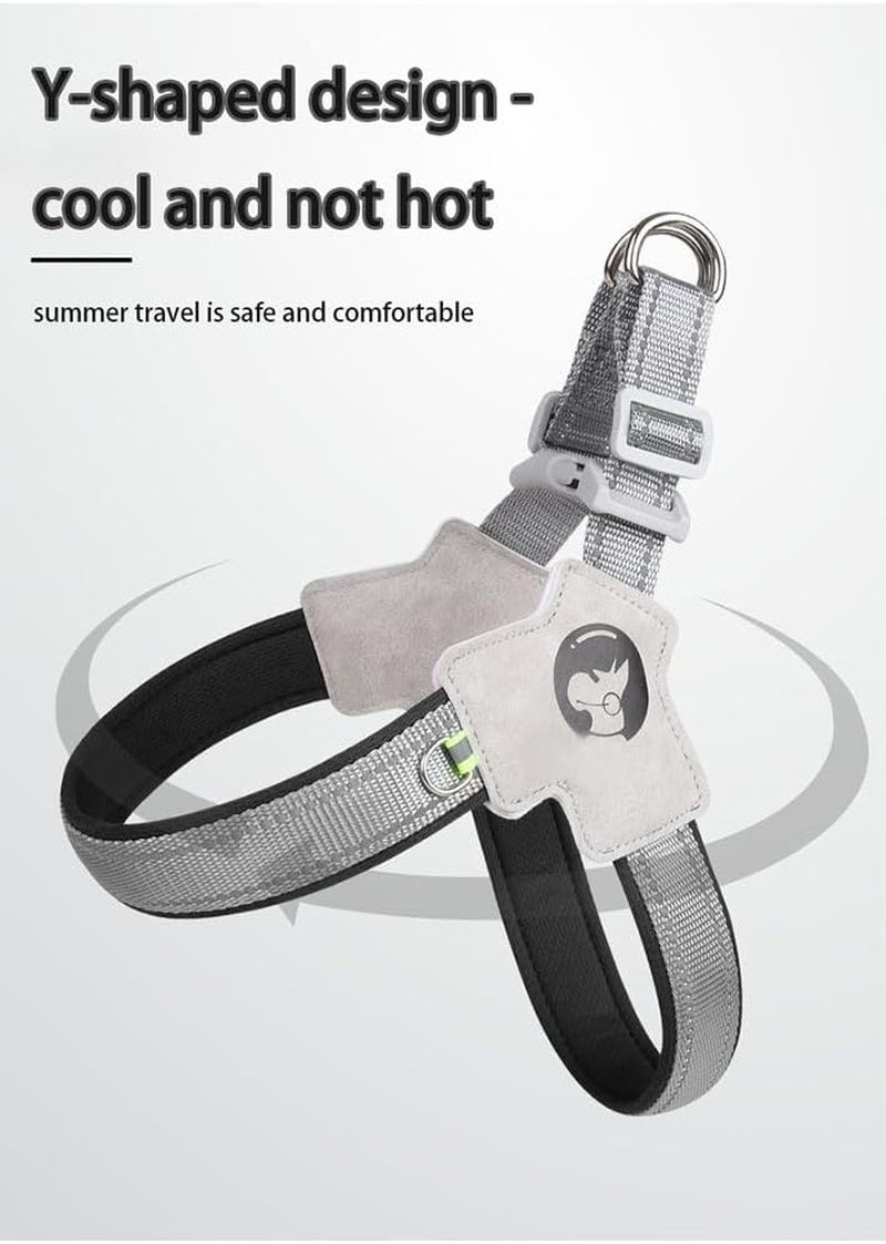 Glow-In-The-Dark Small Dog Harness and Leash Set, Reflective Nylon and Terylene Adjustable Lead for Night Safety - Blue image number 3