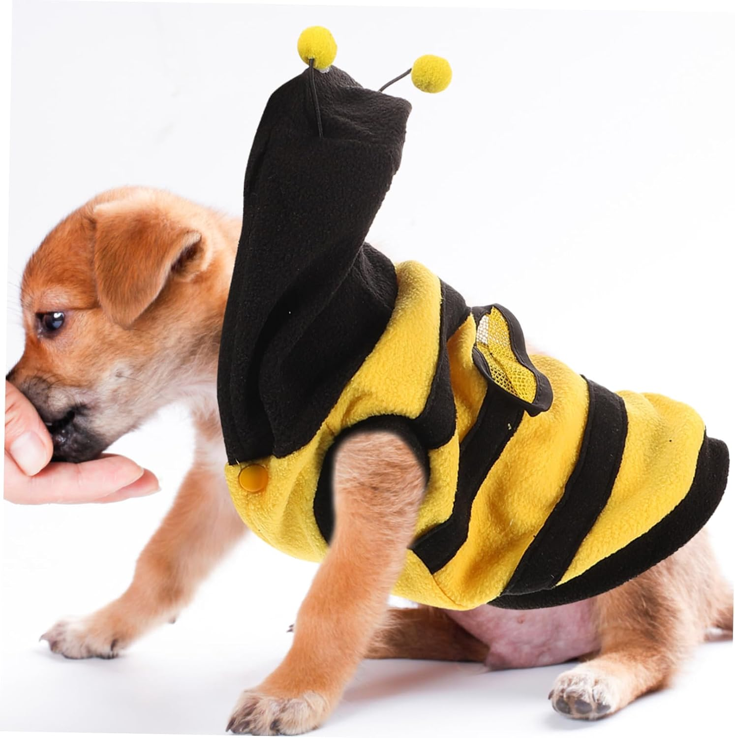BESPORTBLE 2Pcs Pet Dress-Up Costume Dog One-Piece Clothes Bee Cosplay Four-Leg Pet Clothes for Puppy Xs Supplies Random Style image number 2