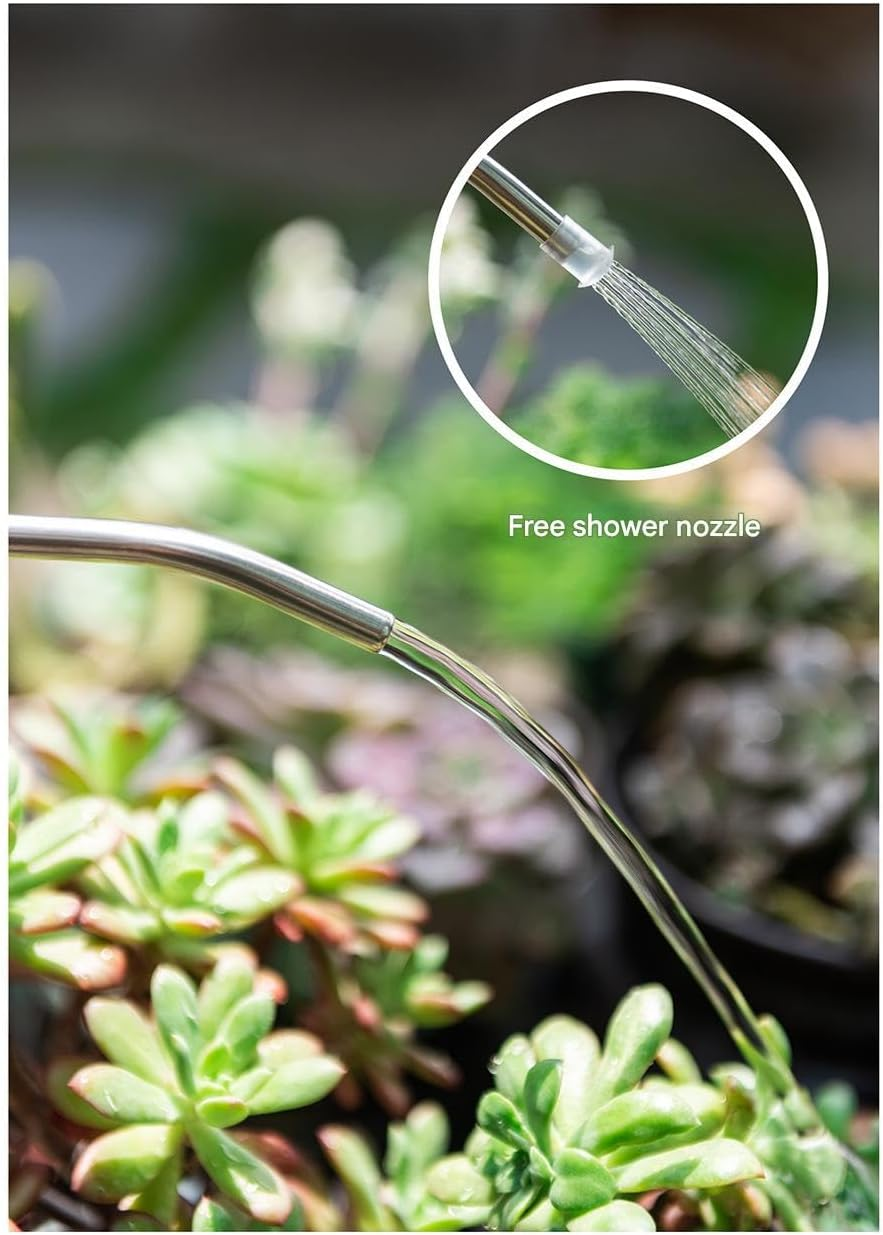 Small Watering Can Indoor Plants with Long Spout (Grey, 1 Liter) image number 3