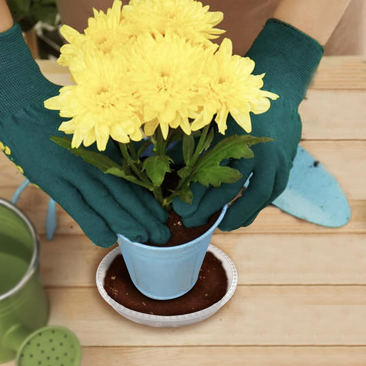 6 Pack Clear Plant Saucer 5 6 8 10 12 14 Inch, Plastic Plant Trays for Indoor, round Flower Plant Pot Saucer, Sturdy Plant Water Catcher Tray image number 3