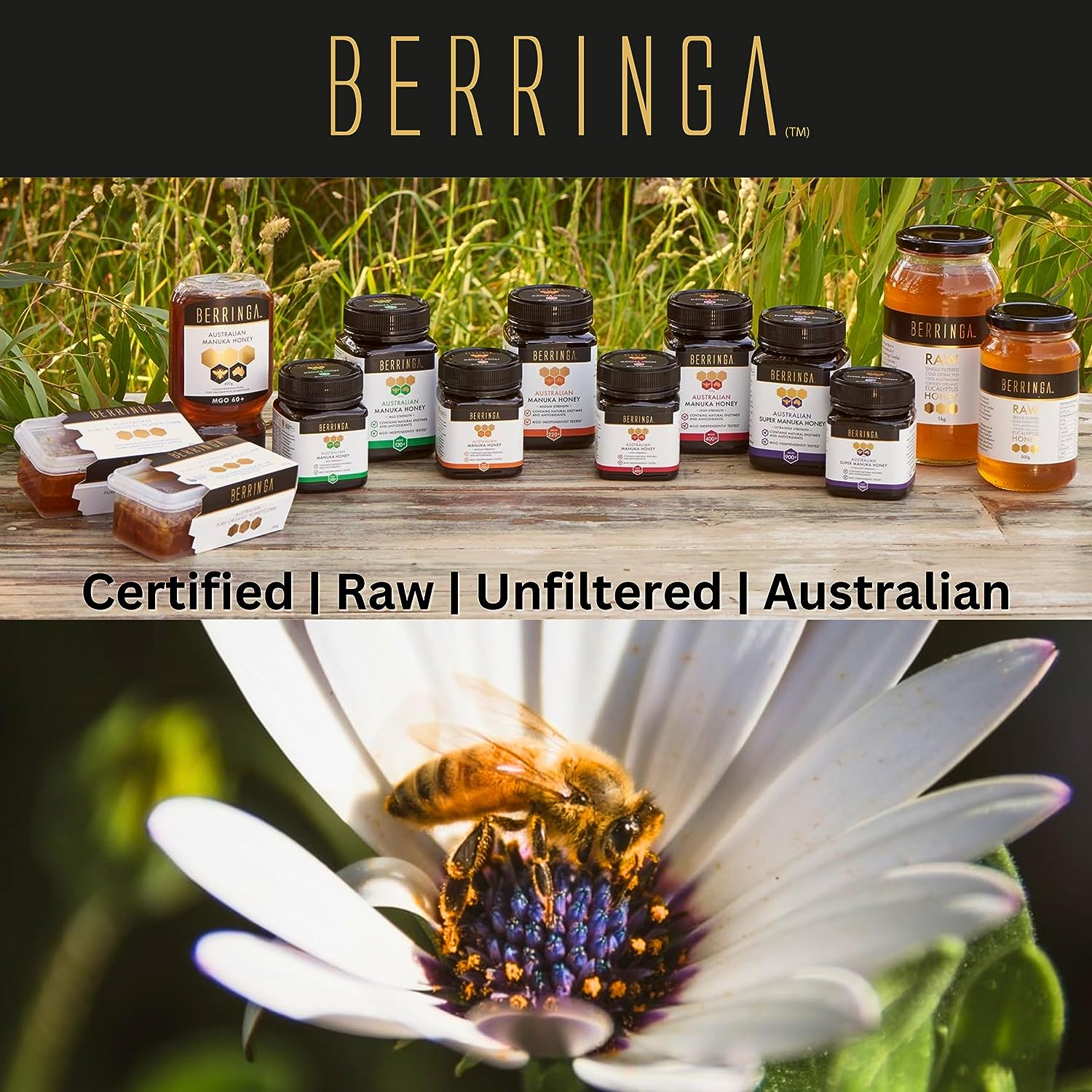 Berringa Certified ORGANIC Eucalyptus Honey 500G - Australian Raw Honey | Unfiltered | 100% Pure Genuine Locally Sourced | Cold Extracted | Non-Gmo Superfood | Gluten Free Food