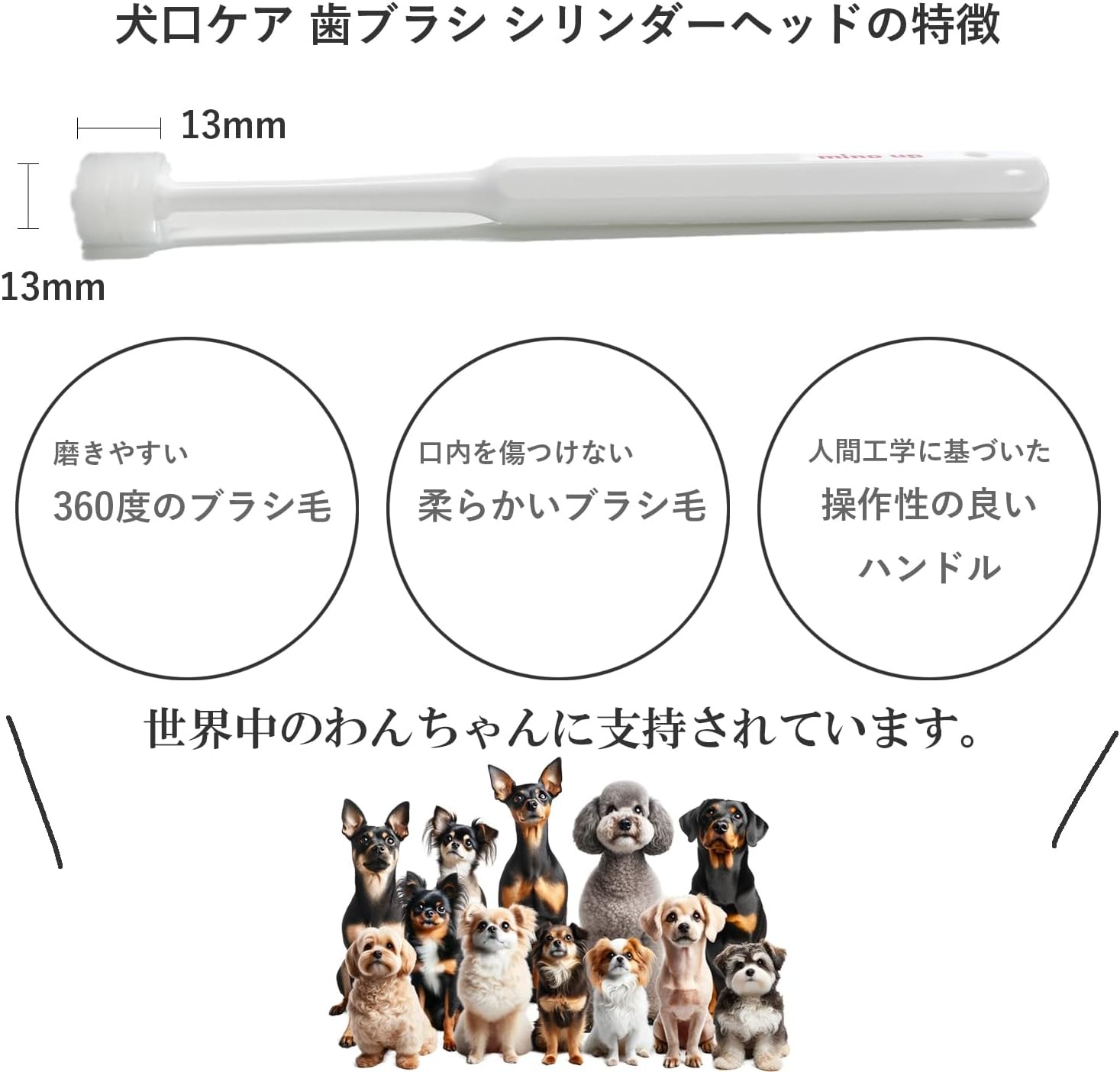 (Cylinder Head) - Toothbrush for Dogs Easy to Use Made in Japan Kenko Care by Mind Up image number 1