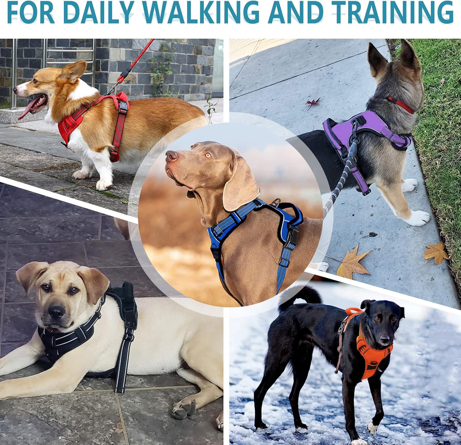 No Pull Dog Harness for Small Medium Large Dogs Adjustable Reflective Pet Vest with Front Clip Padded Harness for Dogs Easy Control Handle Best for Outdoor Training and Walking Orange S