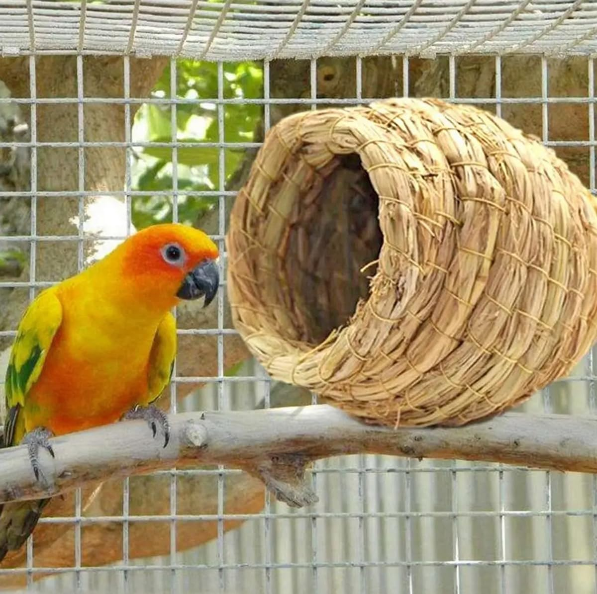 Hanging Straw Bird Nest Natural Fiber Birdhouse for Cage Warm Parrot Hideaway Shelter Hut for Small Finch Canary Lovebird Resting Breeding Playing image number 3