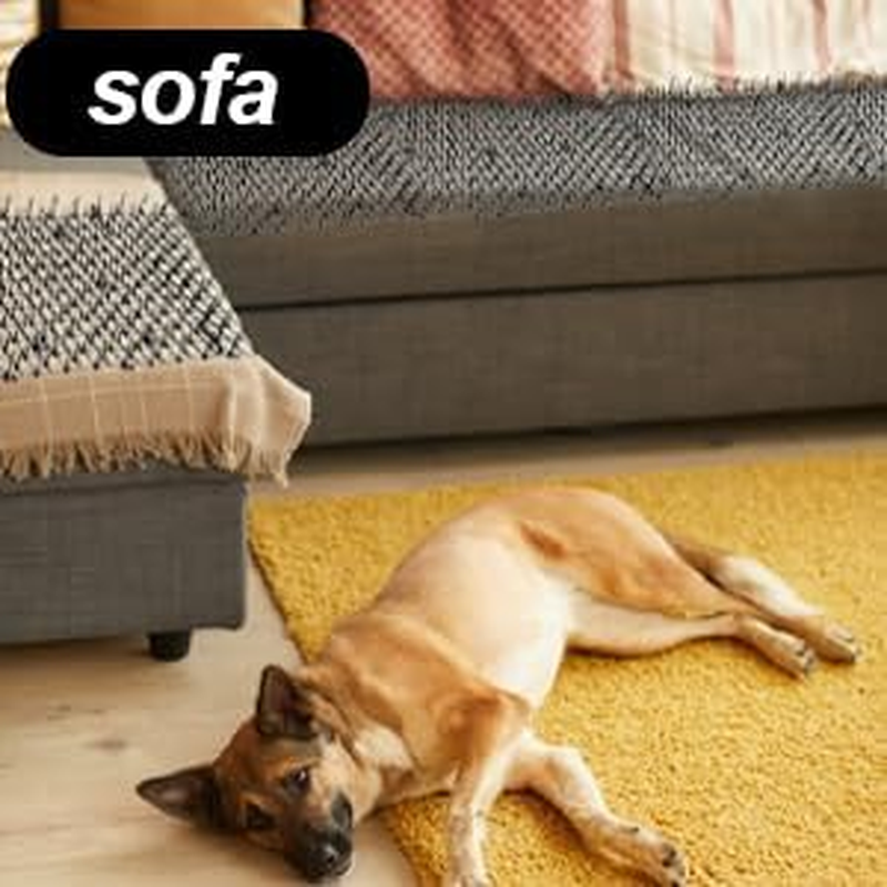 6.6 FT Cat Scat Mat with Spikes Black Cat Deterrent Mats Plastic Scat Mat for Cats Include 8 Staples image number 2