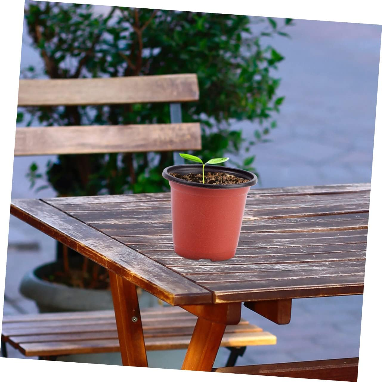 Toddmomy Plant Nursery Pots 20Pcs Plastic Flower Pots Simple Shape for Breathable Design image number 6