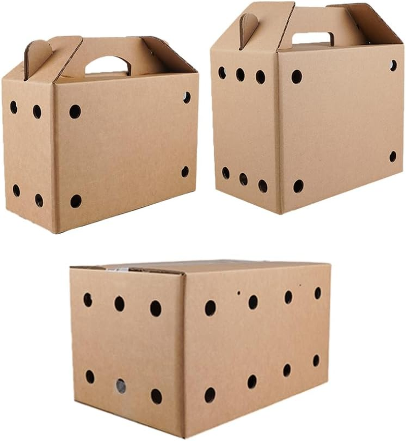 AIMALL 10PCS Cardboard Pet Carriers in 3 Sizes: Sturdy, Safe Disposable Travel Boxes for Small Animals with Ventilation, Easy Assembly, & Built-In Handles image number 5