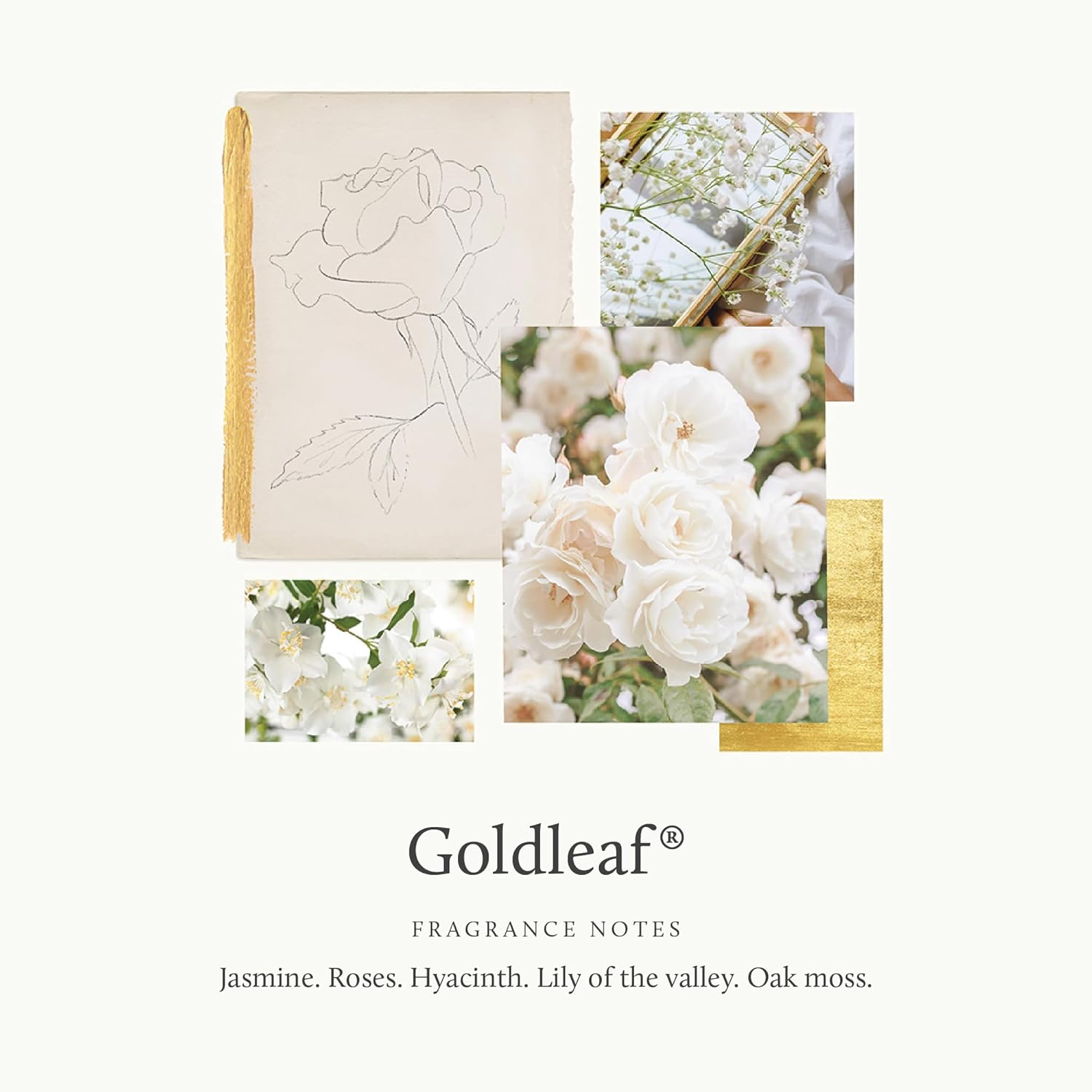 Thymes Goldleaf Perfumed Body Wash 270Ml/9.25Oz image number 3