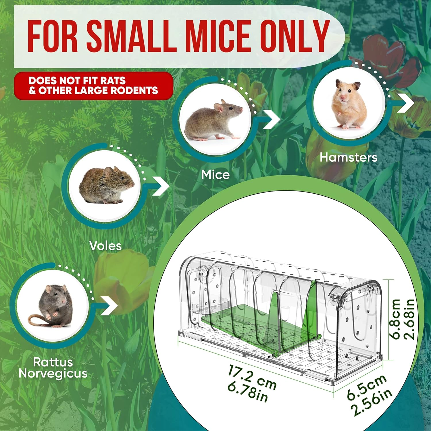 The Original, Humane Mouse Trap, Mouse Traps Indoor for Home, Safe for Kids and Pets, Catch and Release, Reusable, for Small Mice and Rodents, Mouse Trap, 2 Pack image number 2