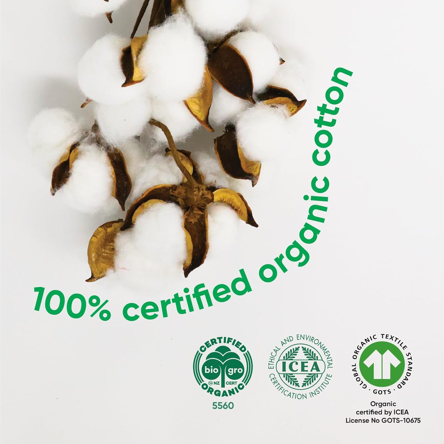 Oi | Organic Initiative - 100% Certified Organic Cotton Non-Applicator Tampons | Unscented, Natural, Non-Toxic, Applicator Free | Mini Absorbency, 32 Tampons image number 1