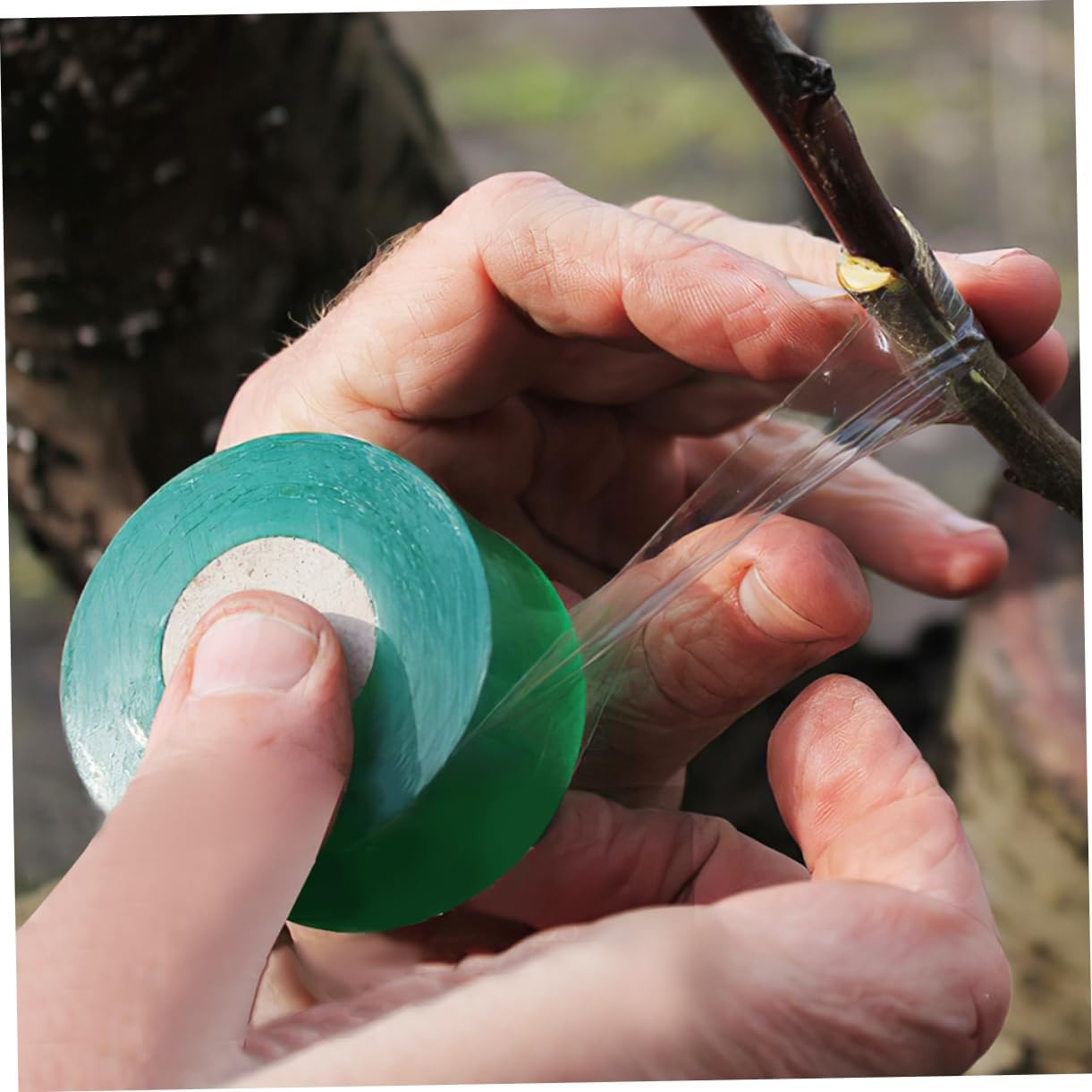 SUPVOX 12 Rolls Grafting Tape for Plants Stretchable Repair Tape for Fruit Trees for Gardening Use image number 5