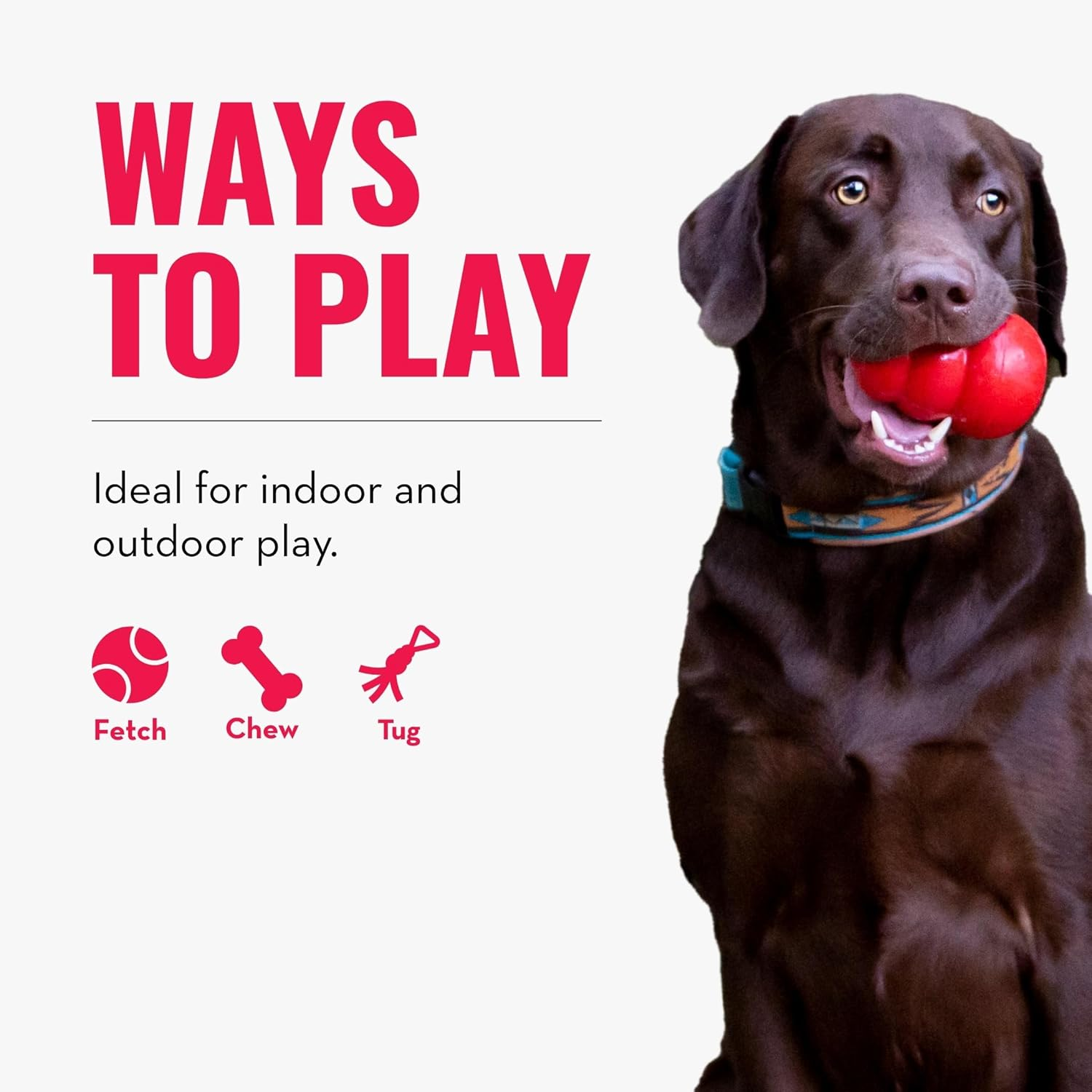 KONG - Rope Bunji - Durable Tug Dog Toy - for Large Dogs image number 6