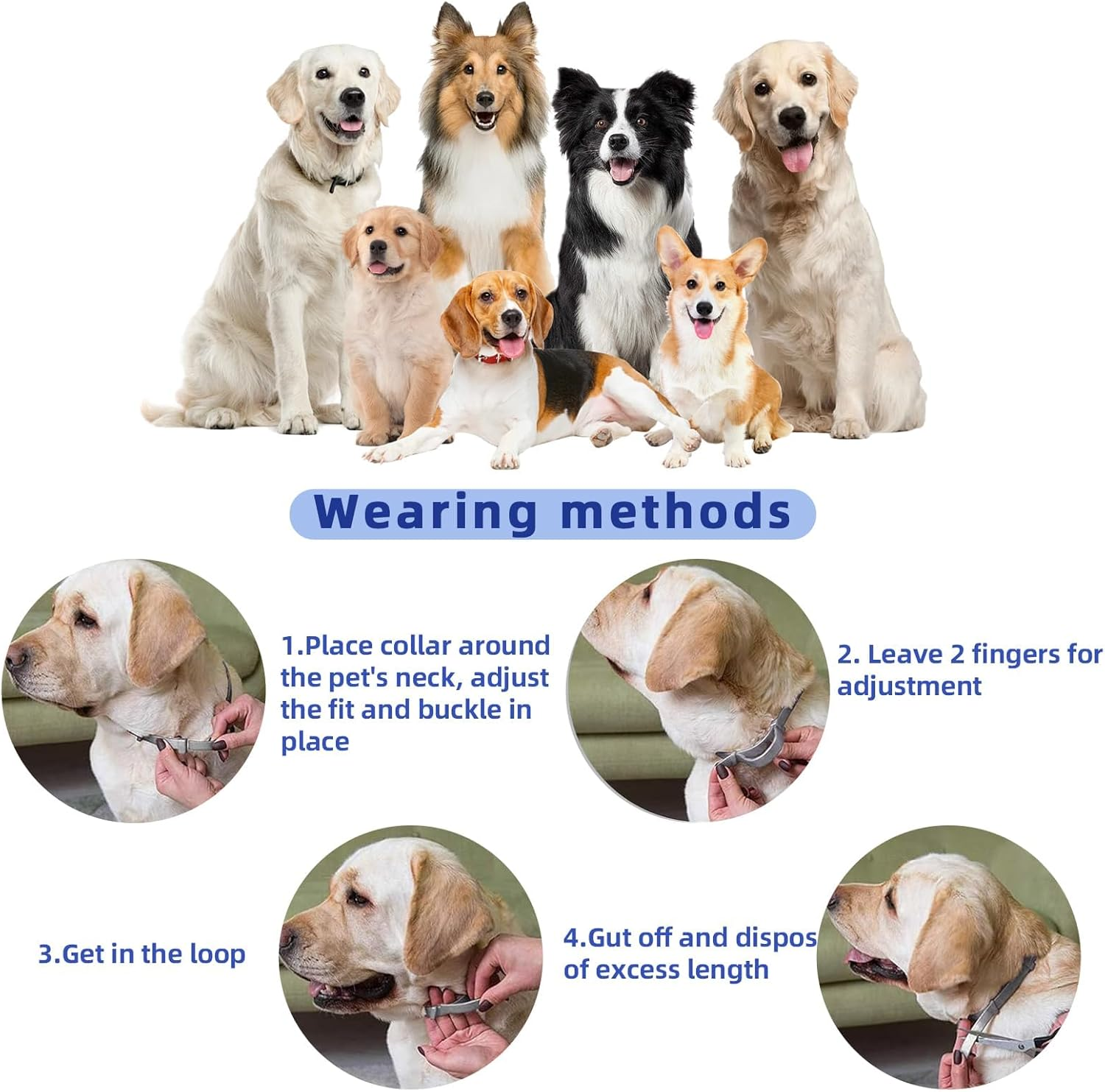 Calming Collar for Dogs, 4 Packs Dog Calming Collar, Pheromone Collar for Dogs, Relief Anxiety Stress Separation, Lasts 60 Days, 25 Inches Size Flexible Adjustable, for All Small Medium and Large Dog - Grey image number 6