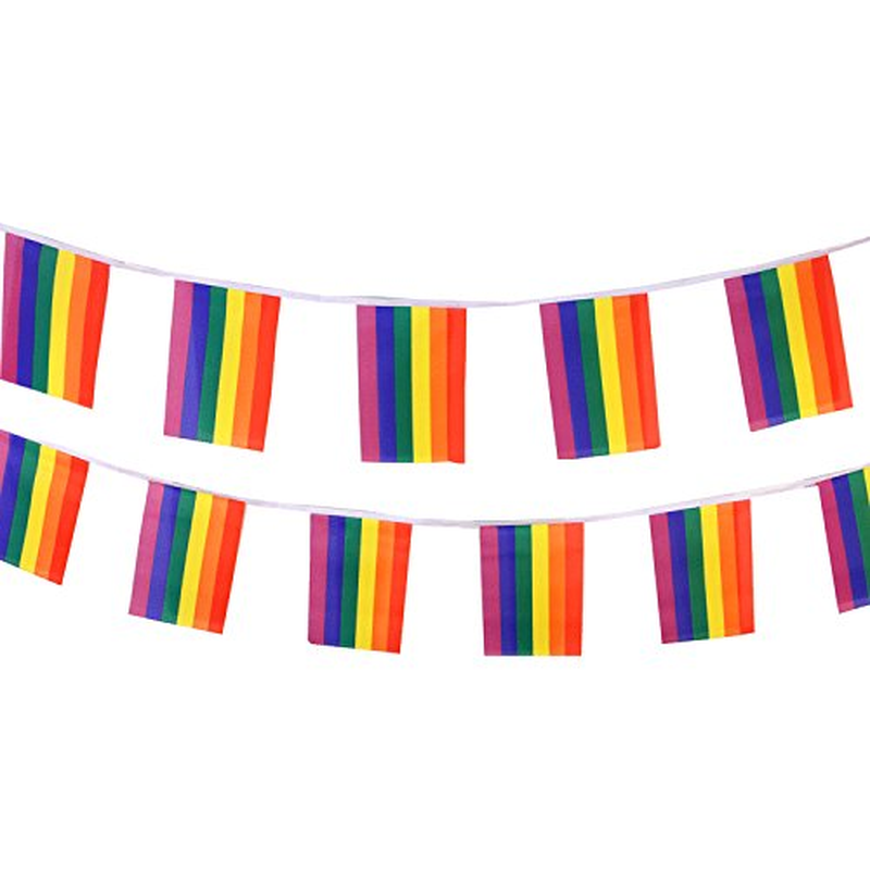 Rainbow Pride Bunting Flag 20 X 30 CM - 10 Pieces