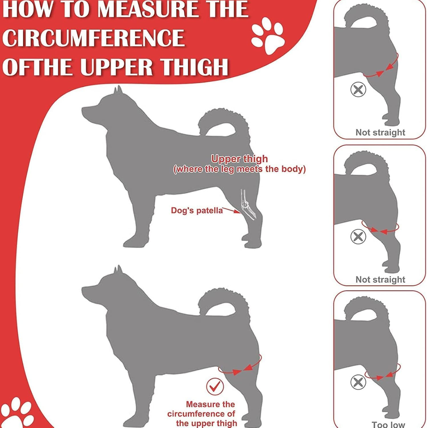 Dog Elbow Protector, Dog Brace Pads Relieve Arthritis Reducing Pain Provides Support Elbow Protector for Small Medium Dogs (Black, L) image number 2