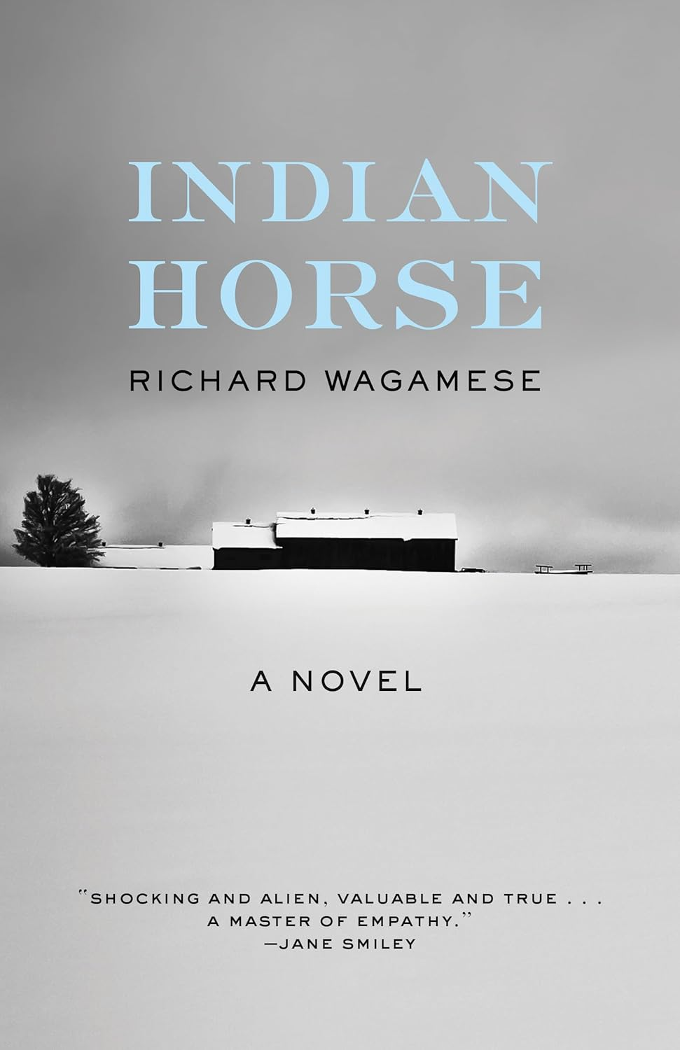 Indian Horse image number 1