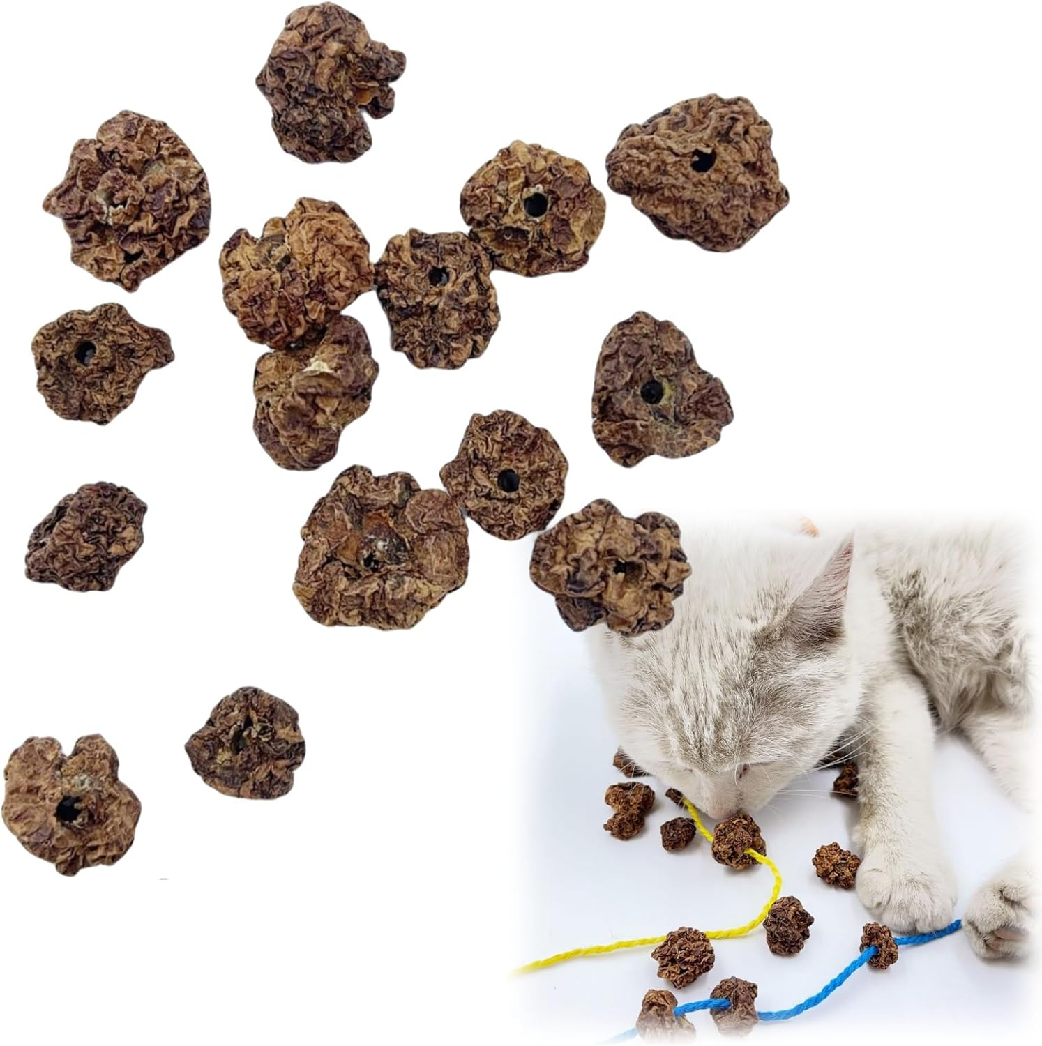 15PCS Natural Silvervine Gall Fruit with Perforated Holes - Cat Teething and Chew Toy for Teeth Cleaning, Mood Regulation and Appetite Improvement image number 5