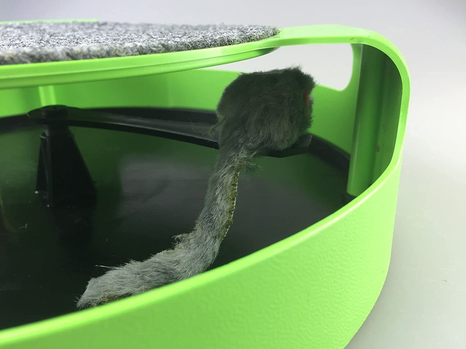 Interactive Cat Toy &ndash; Catch the Mouse Game for Kittens & Cats &ndash; Spinning Mouse Catnip Toy with Claw Sharpening Mat &ndash; Fun Indoor Cat Training Activity