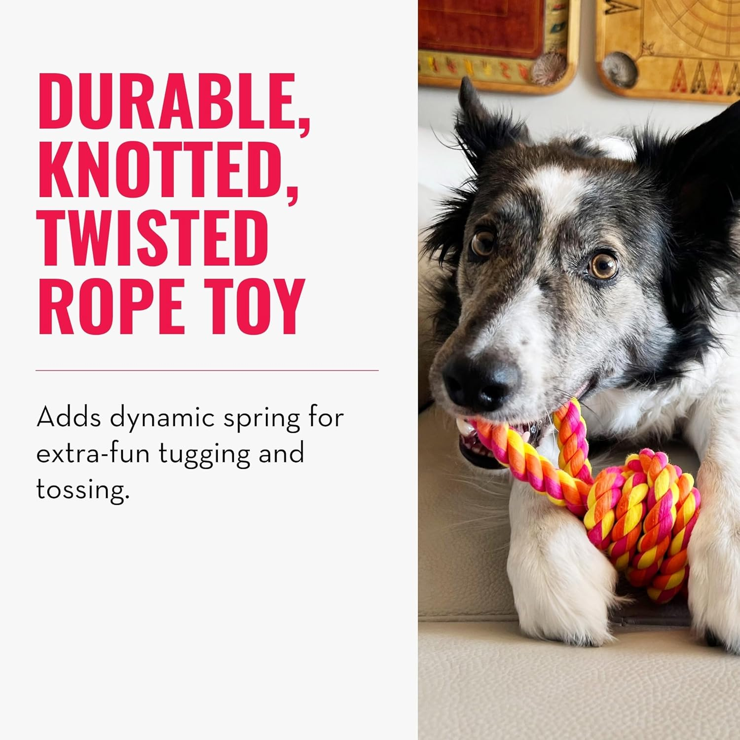 KONG - Rope Bunji - Durable Tug Dog Toy - for Large Dogs image number 2