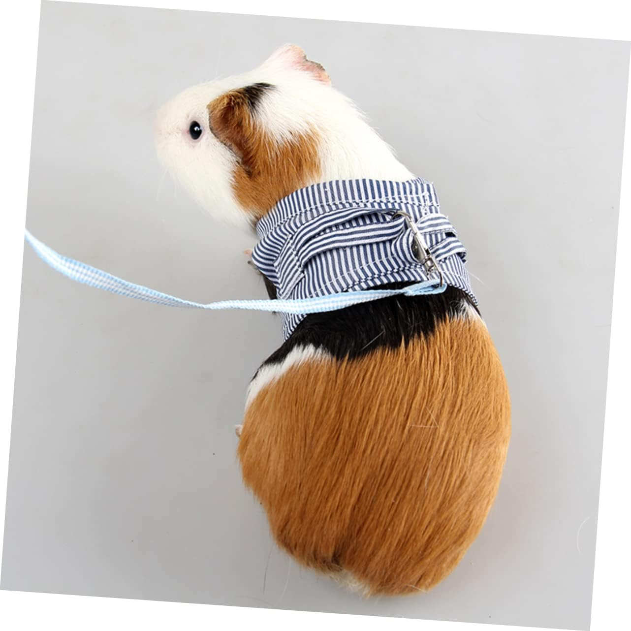 Minkissy Small Pet Harness Guinea Pig Leash Chest Strap Blue Size S for Outdoor Walking Hedgehog Pet Supplies image number 6