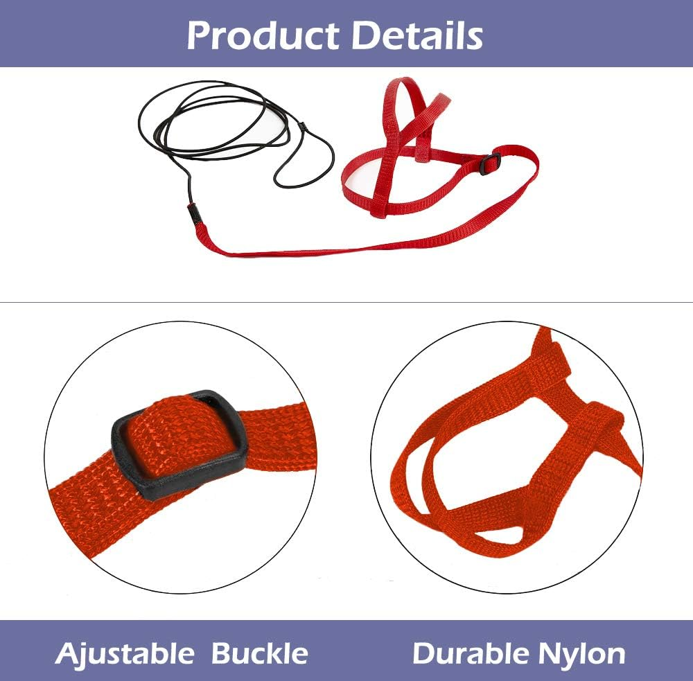 CIEOVO Bird Harness, Adjustable Parrot Nylon Leash with Anti-Bite Design for Outdoor Activities Training, Suitable for Eastern Bluebonnet Parrot, Cockatoo, Parakeet, Doves 6.2Ft (S)