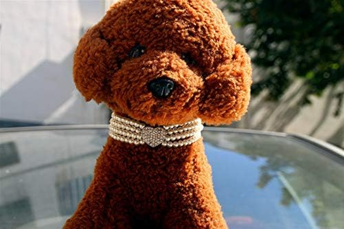 Dog Necklace Collar with Four Rows of Imitation Pearl Fancy Dog Collar Adjustable Dog Pearl Collar for Dog Cat (White, M) image number 3