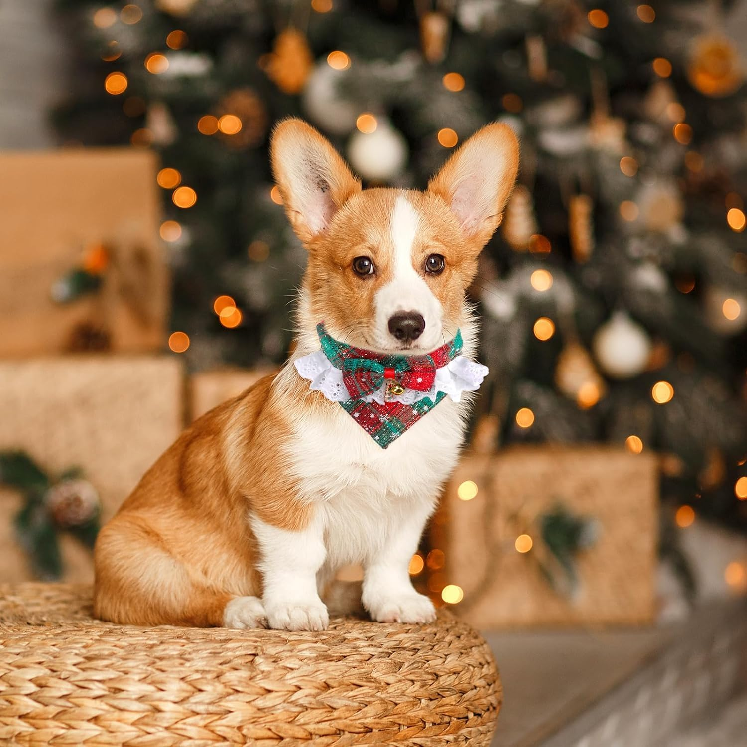 Adjustable Christmas Dog Cat Bandana Collar, Cotton Red Green Plaid Dog Cat Scarf Triangle Bibs Kerchief with Bow Tie Bell for Small Medium and Large Cats Dogs (Cw2073Lv, S) image number 5