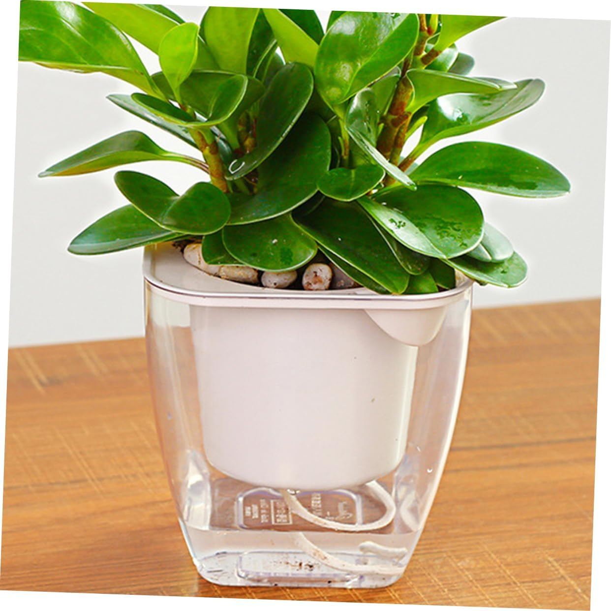 Yardenfun Cotton Rope for Self Watering Pot Absorbent Rope Hydroponics Supplies DIY Plant Irrigation Flexible Automatic Watering Wick image number 5